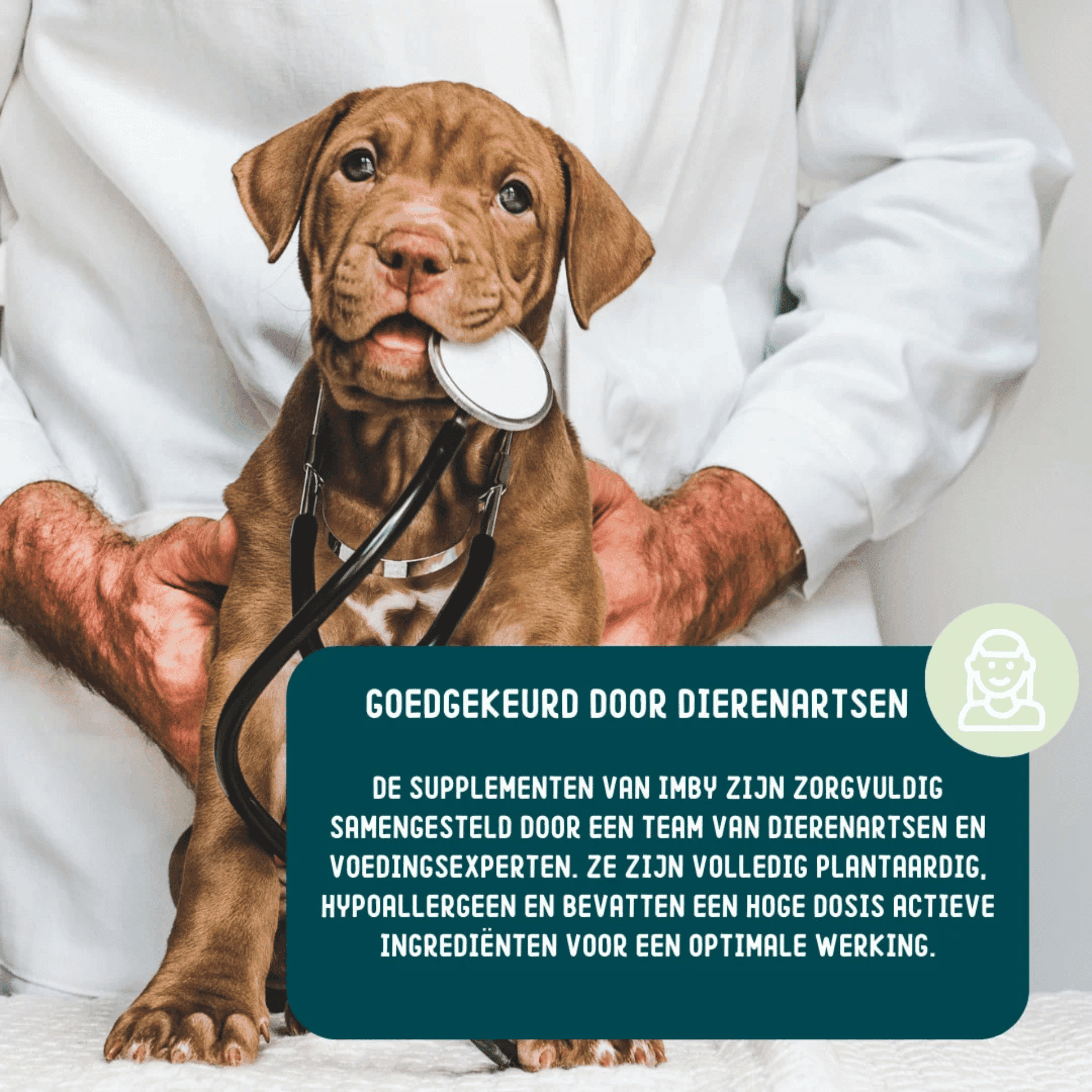 Imby Calming Supplement for Dogs Imby Calming Supplement for Dogs