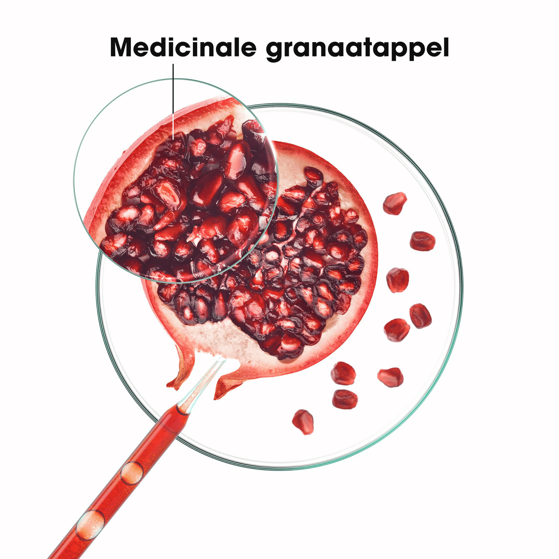 Klorane Granaatappel Kleurbeschermende Conditioner Klorane Granaatappel Kleurbeschermende Conditioner