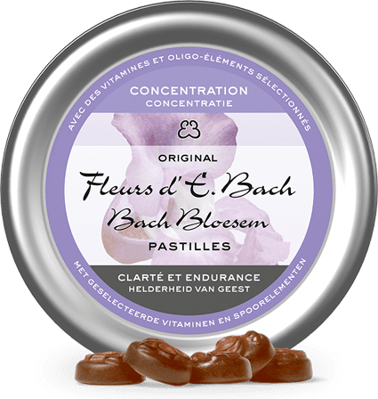 Bach Bloesem Concentratie Pastilles Bach Bloesem Concentratie Pastilles
