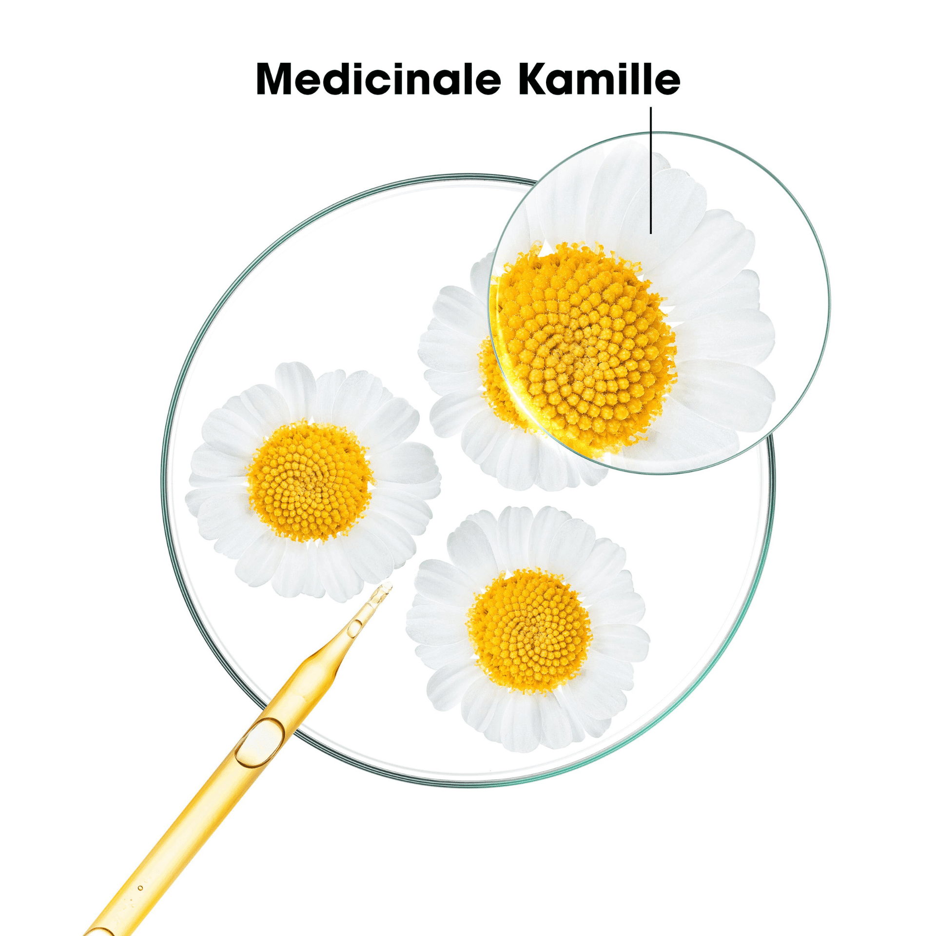 Klorane Kamille Conditioner voor Blonde Highlights Klorane Kamille Conditioner voor Blonde Highlights