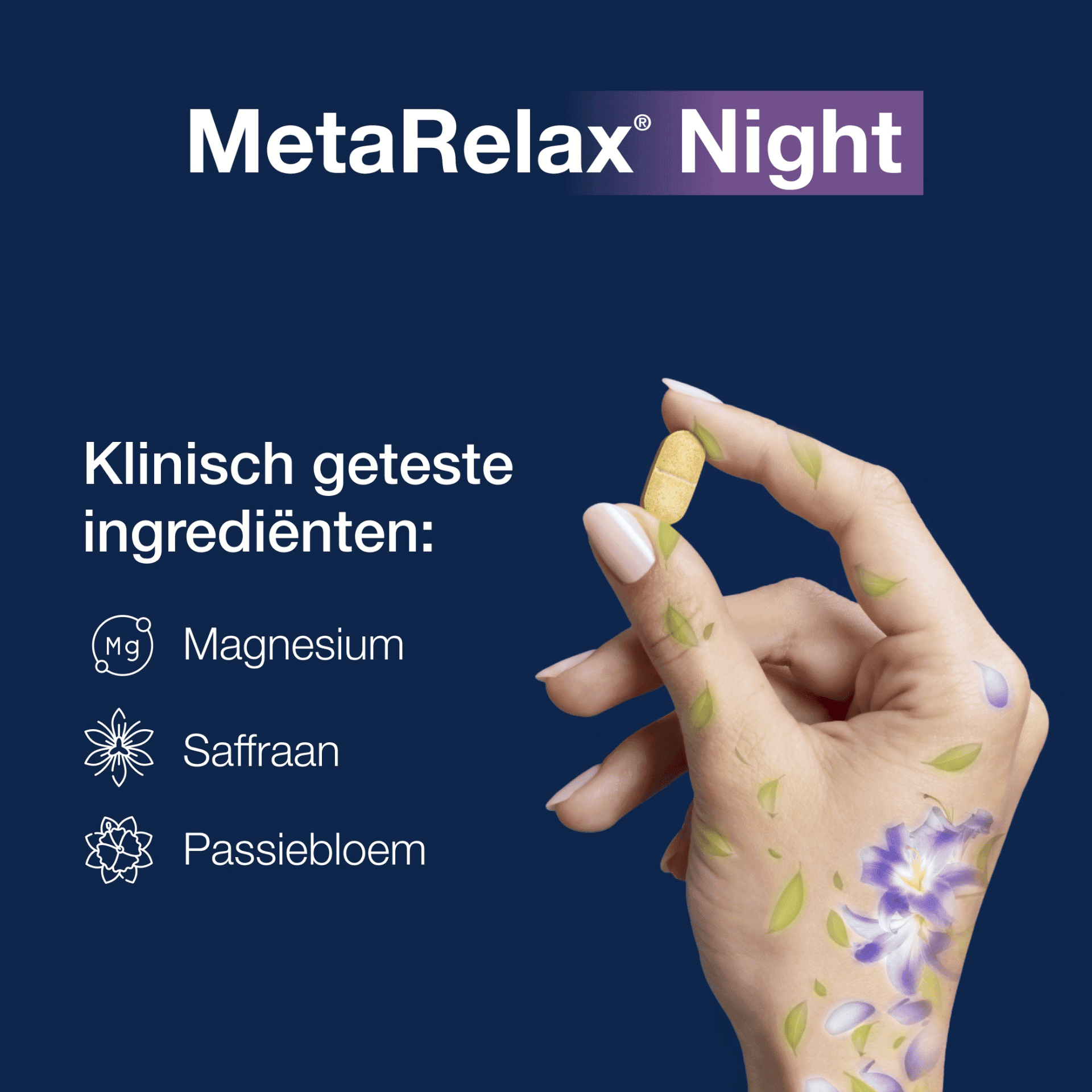 MetaRelax Night
