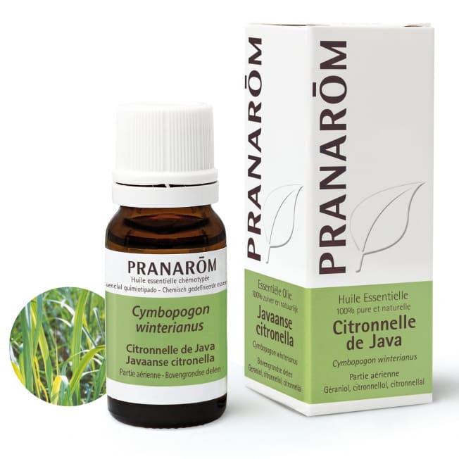 Pranarom Javaanse Citronella Essentiële Olie Bio Pranarom Javaanse Citronella Essentiële Olie Bio