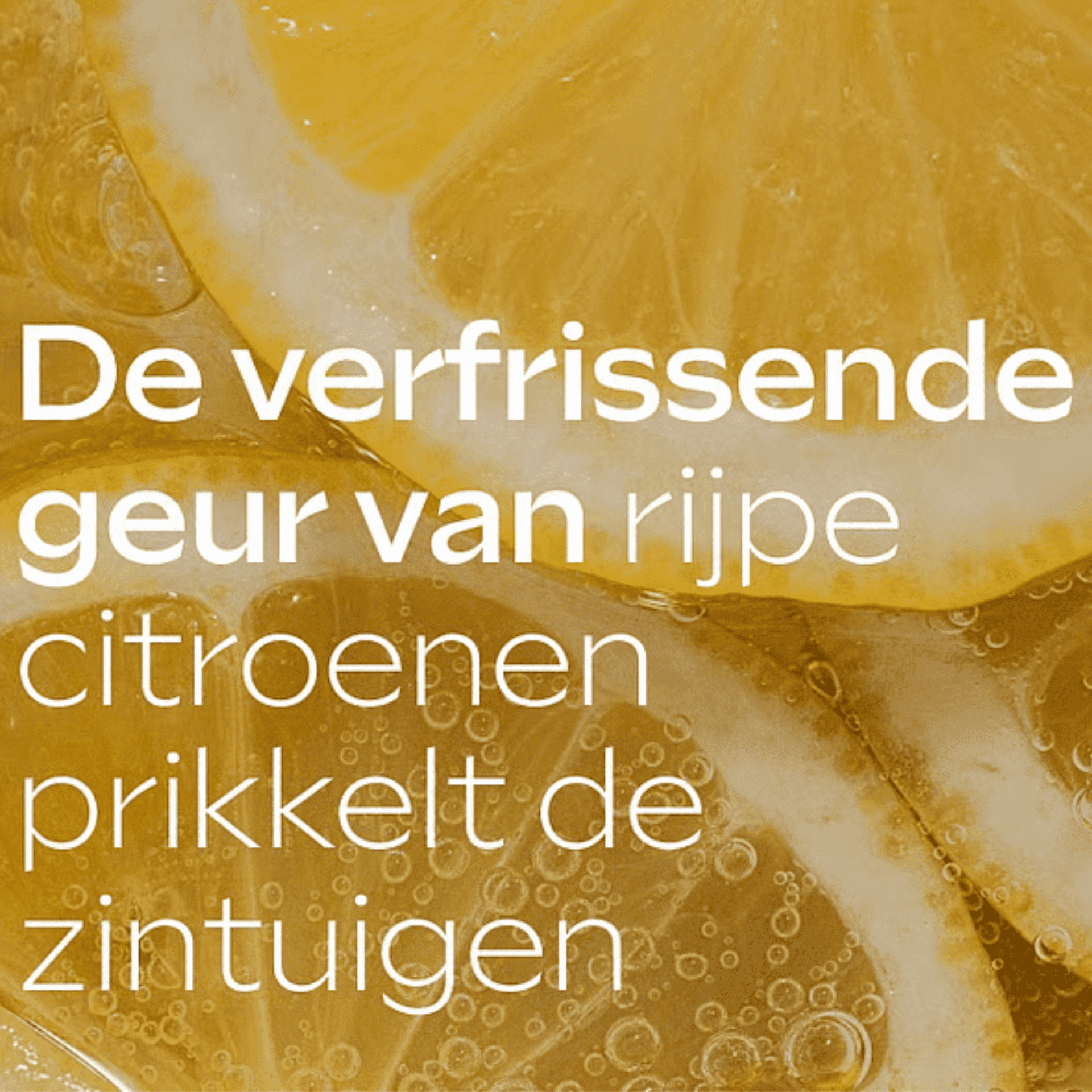 WELEDA LAIT CORPS HYDRATANT ALOE VERA 25