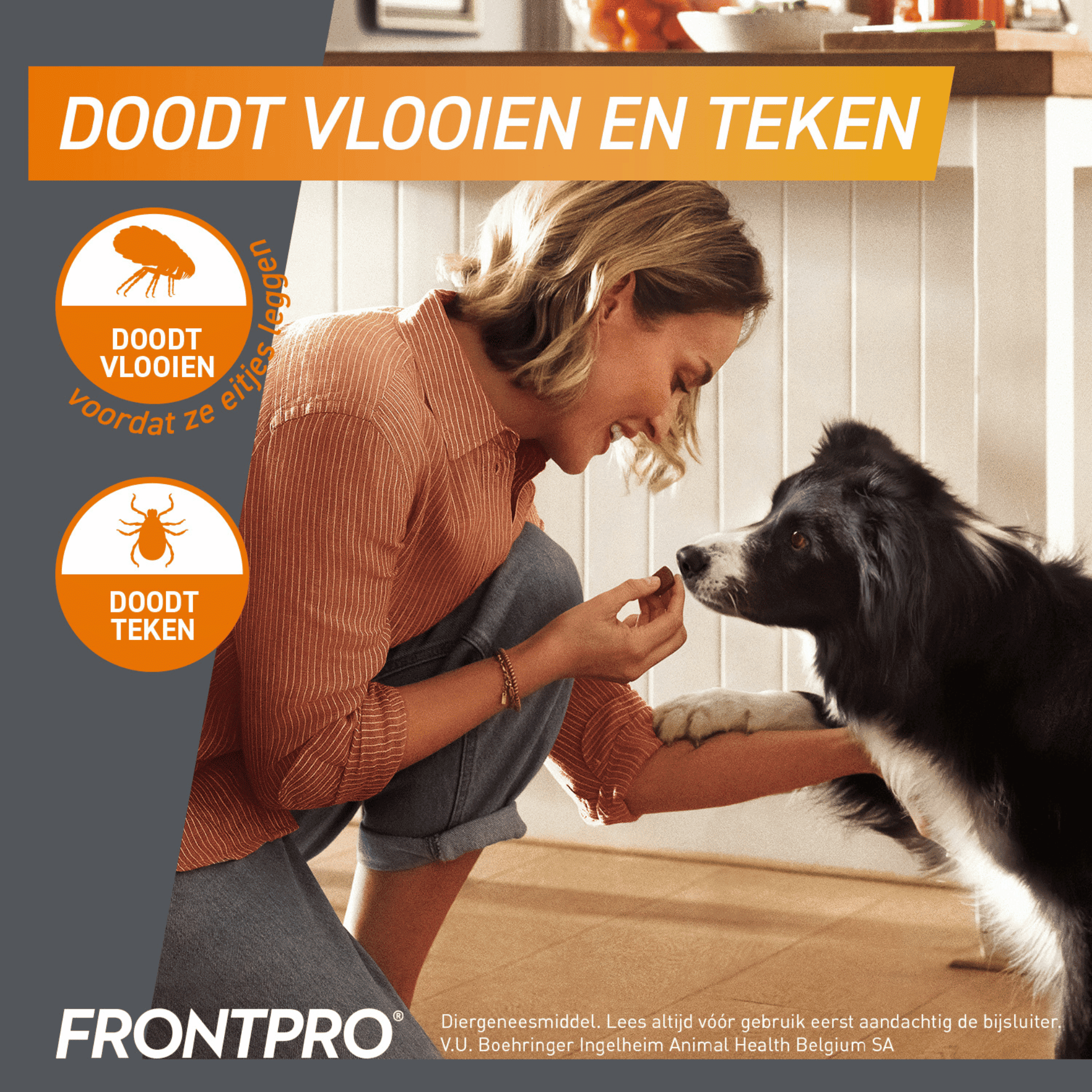 FrontPro Hond 2-4 kg FrontPro Hond 2-4 kg