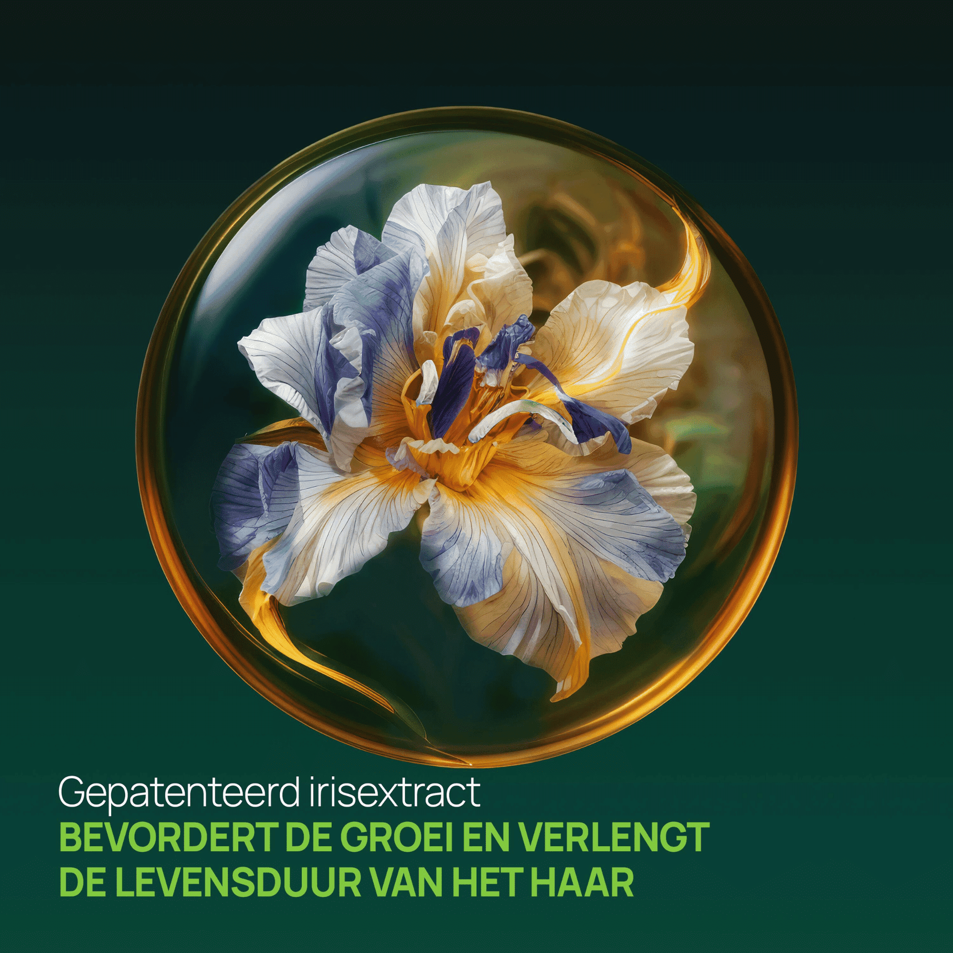 René Furterer Triphasic Shampoo tegen Haaruitval met Langdurige Werking René Furterer Triphasic Shampoo tegen Haaruitval met Langdurige Werking