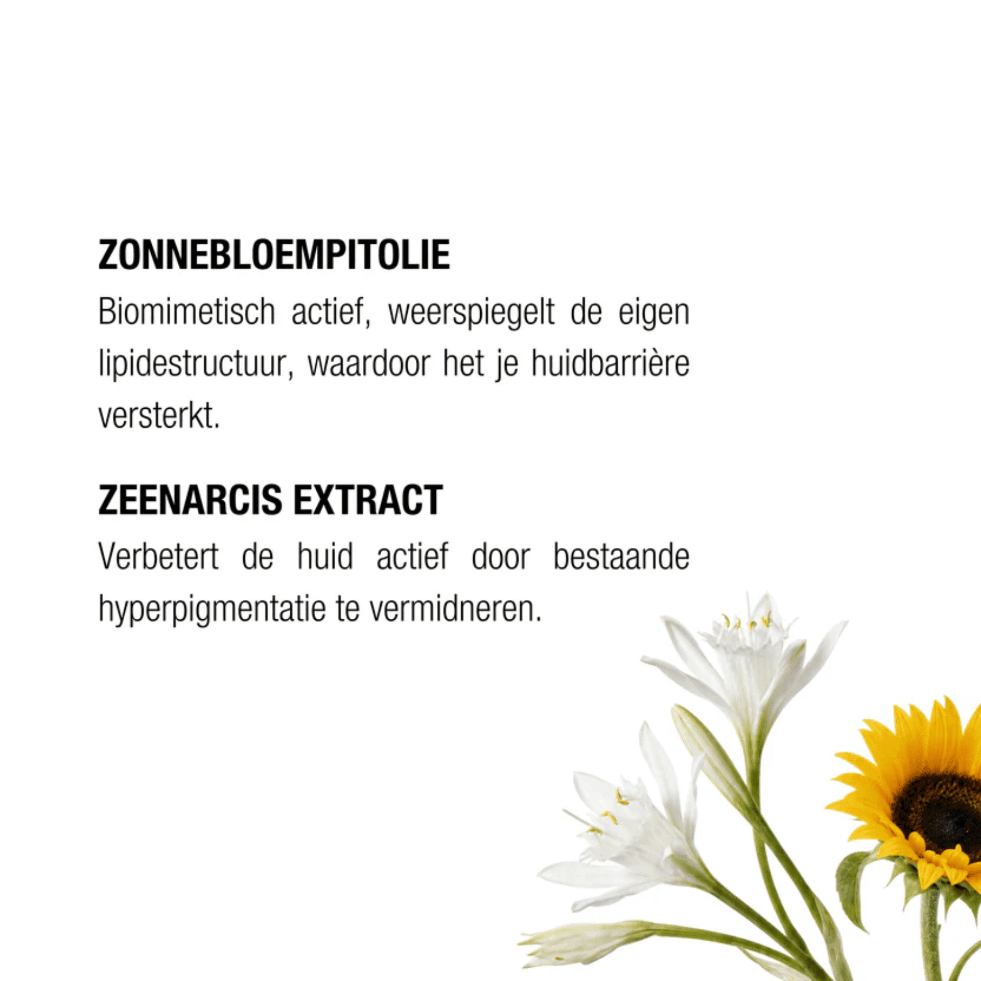 The Remedy Hydra+ Fluid Moisturizer SPF 50