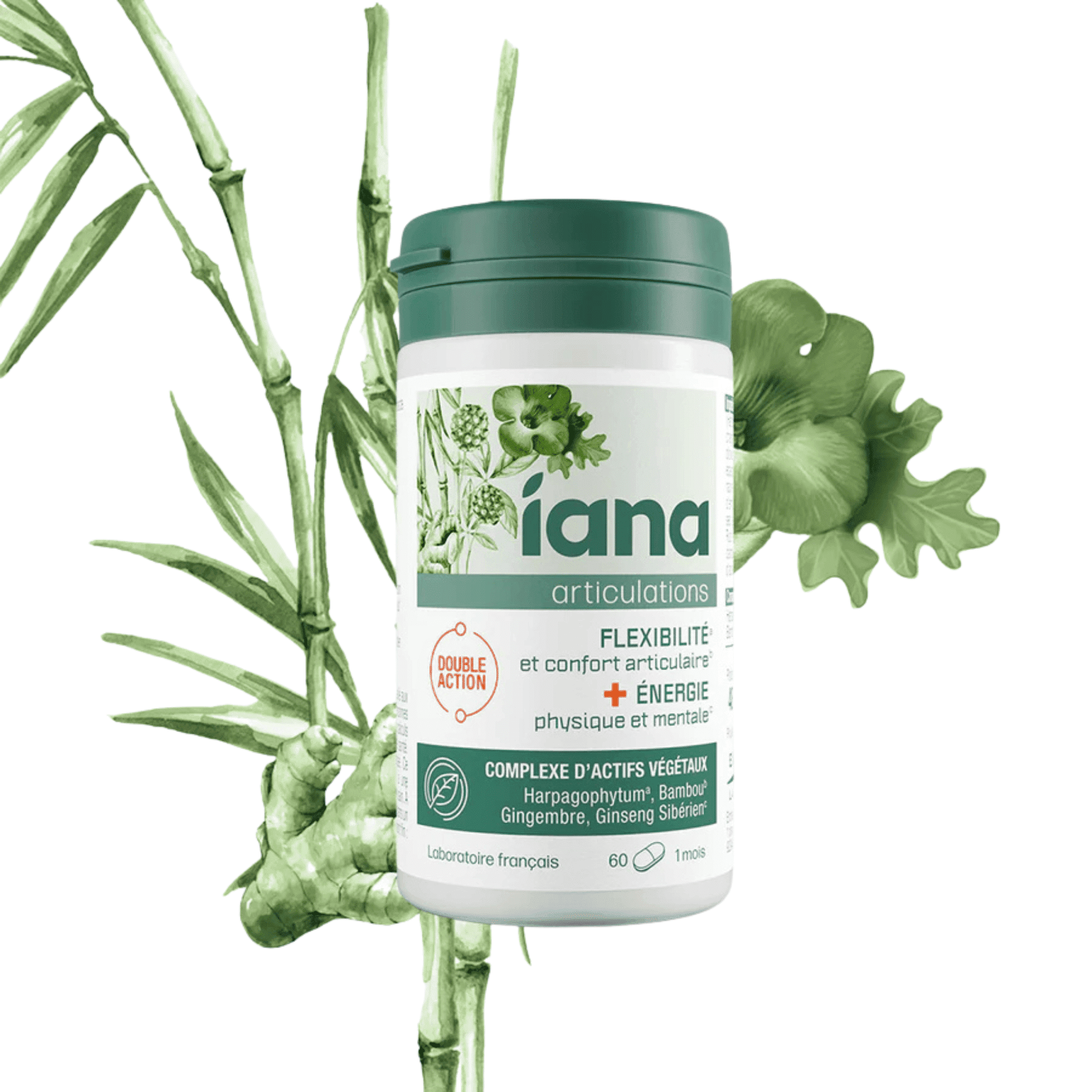 Iana Flexibilite&energie Comp 60