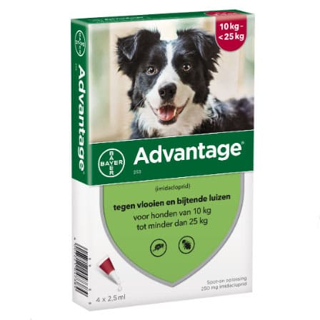 Advantage 250 Hond 10-25 kg Advantage 250 Hond 10-25 kg