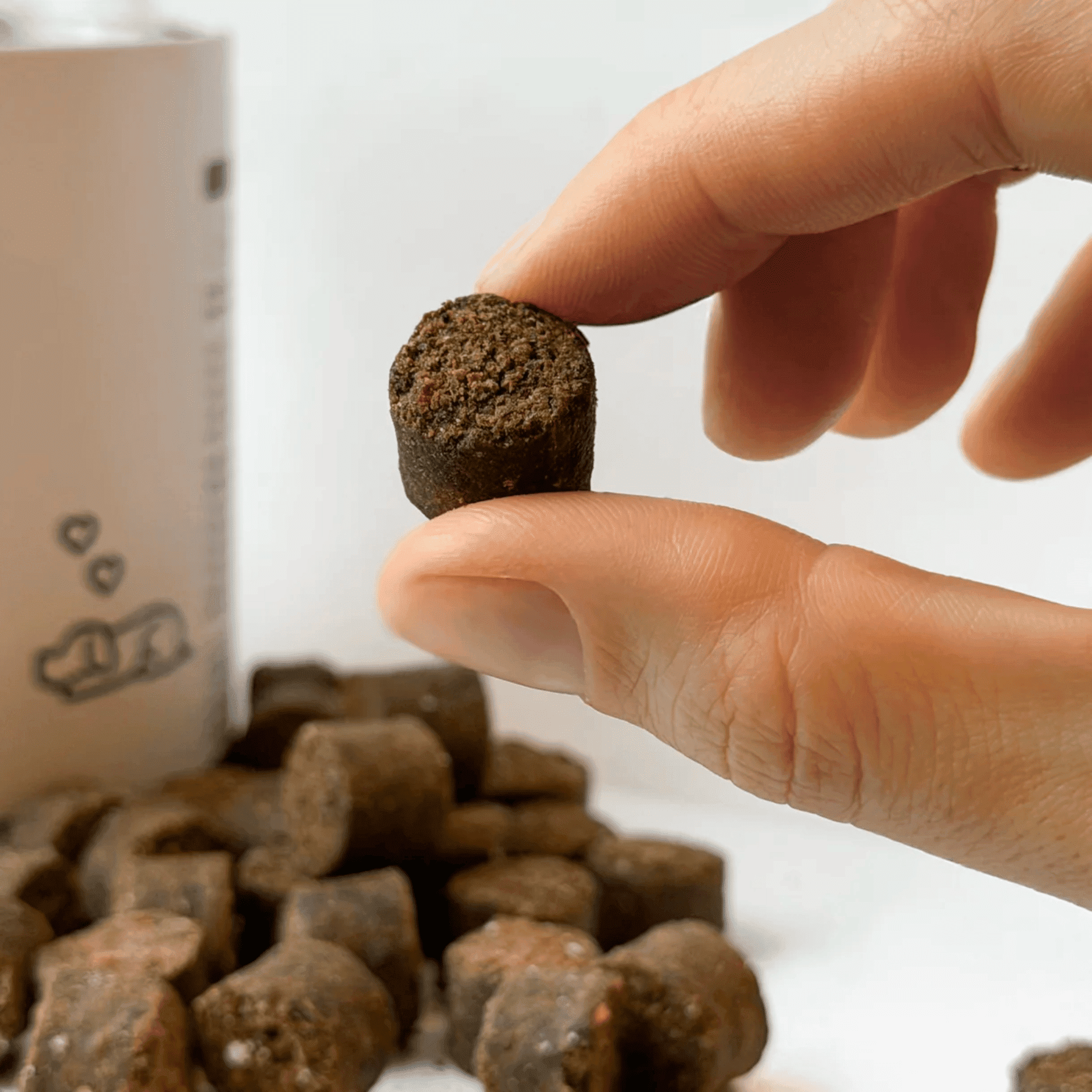 Gutsy Calming Supplement