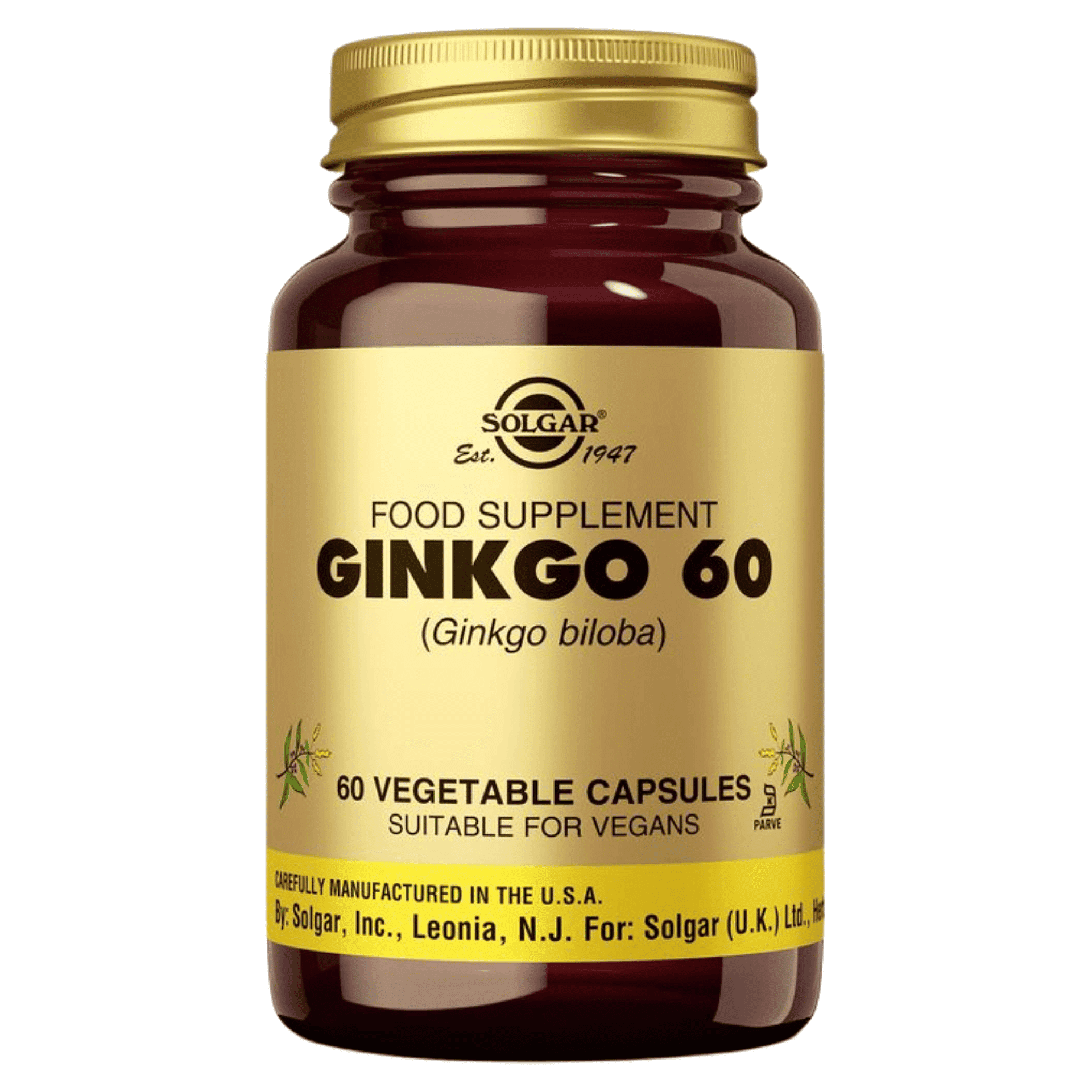 Solgar Ginkgo 60 mg