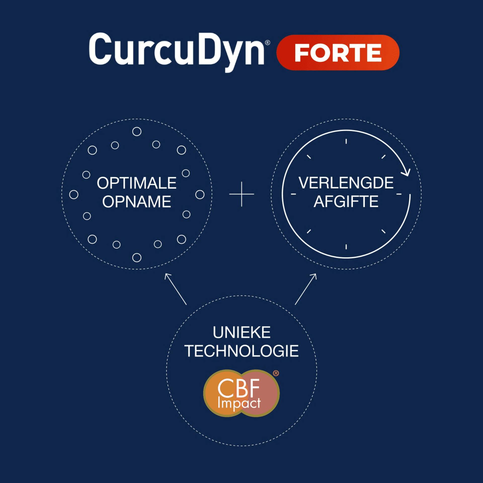 CurcuDyn Forte CurcuDyn Forte