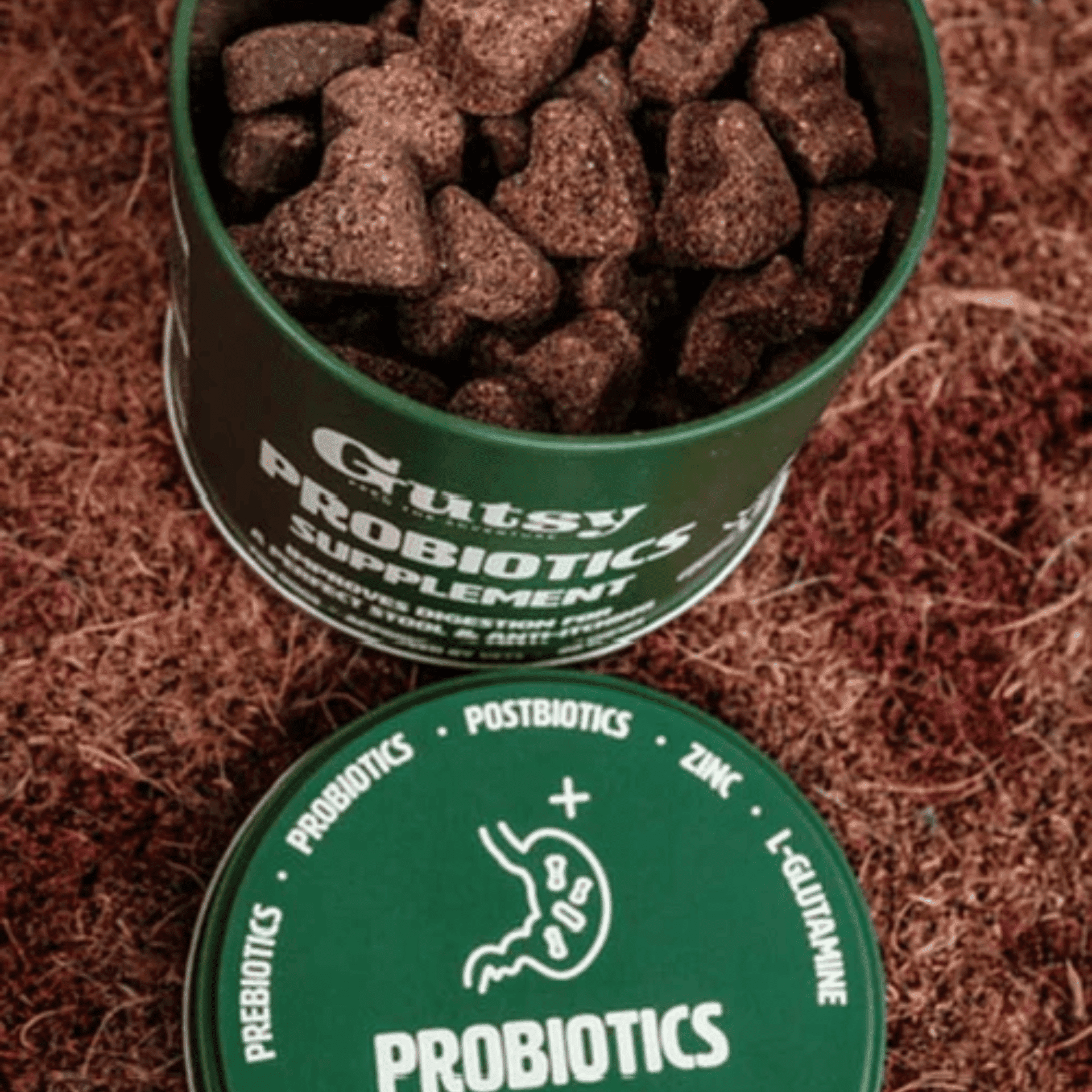 Gutsy Probiotics Supplement Chews 80