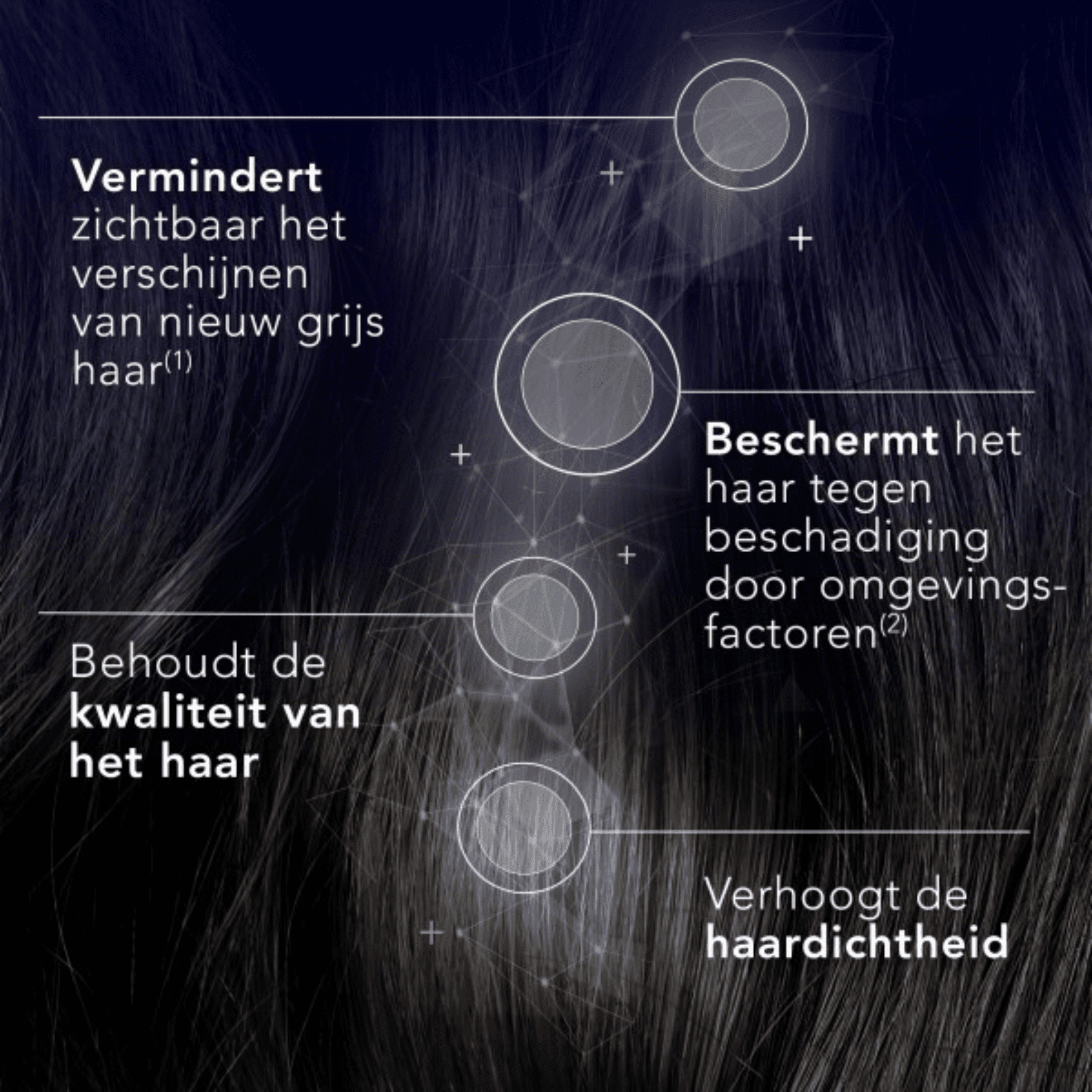 Arkopharma Forcapil Age Protect Herstellende Verzorging Arkopharma Forcapil Age Protect Herstellende Verzorging