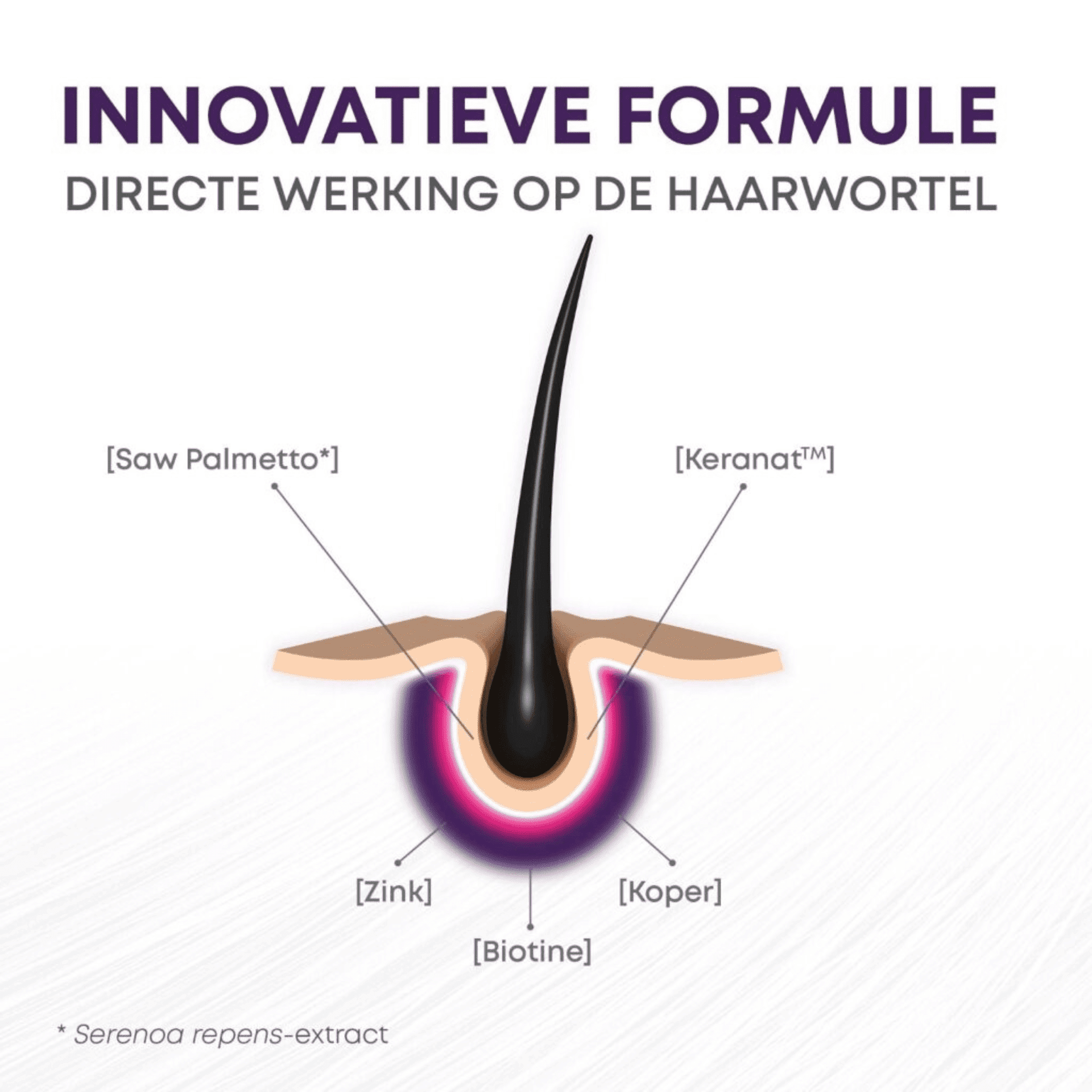 BariNutrics Hair BariNutrics Hair