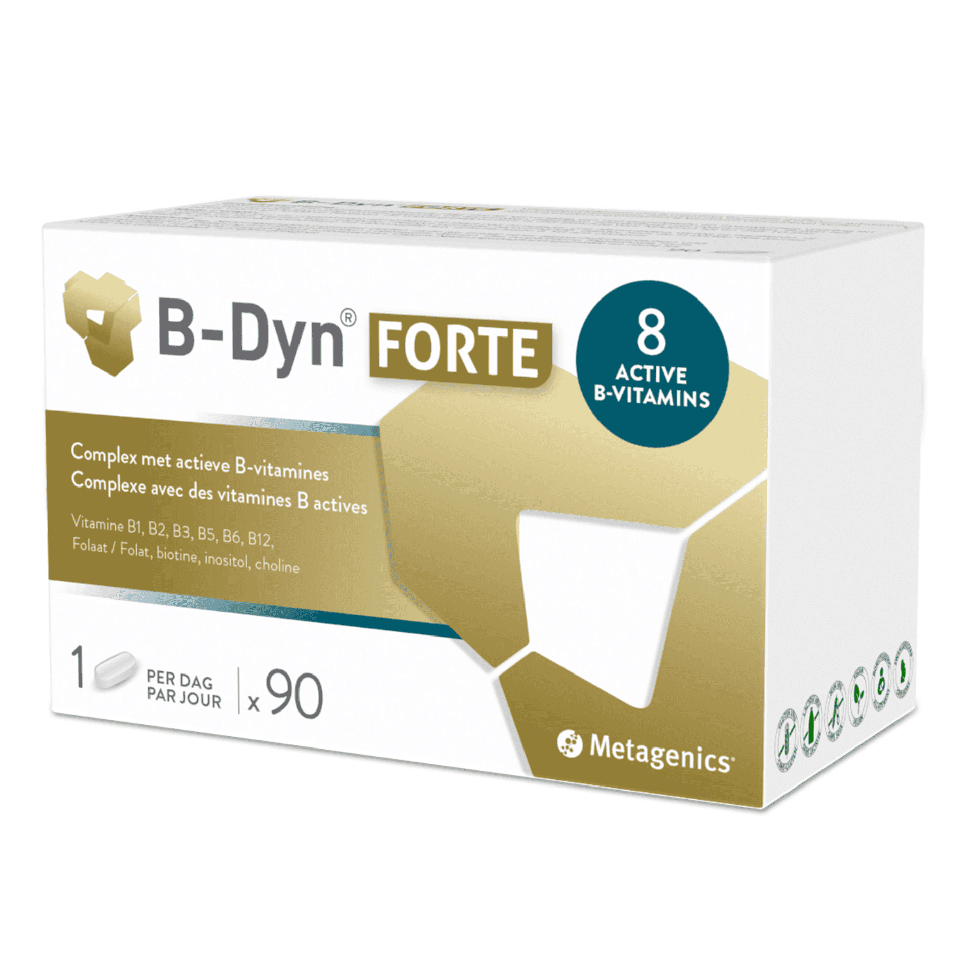 B-Dyn Forte B-Dyn Forte