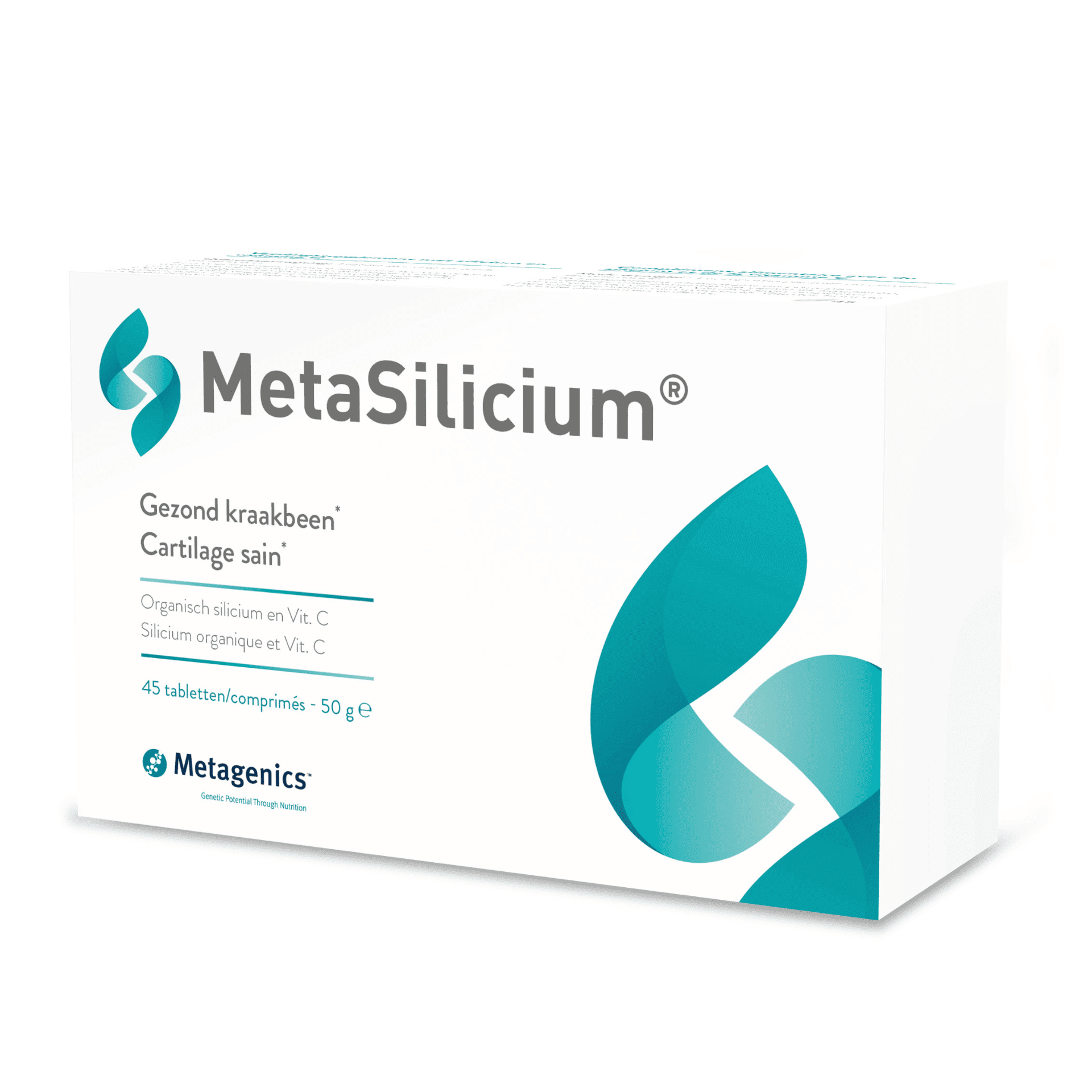 MetaSilicium MetaSilicium