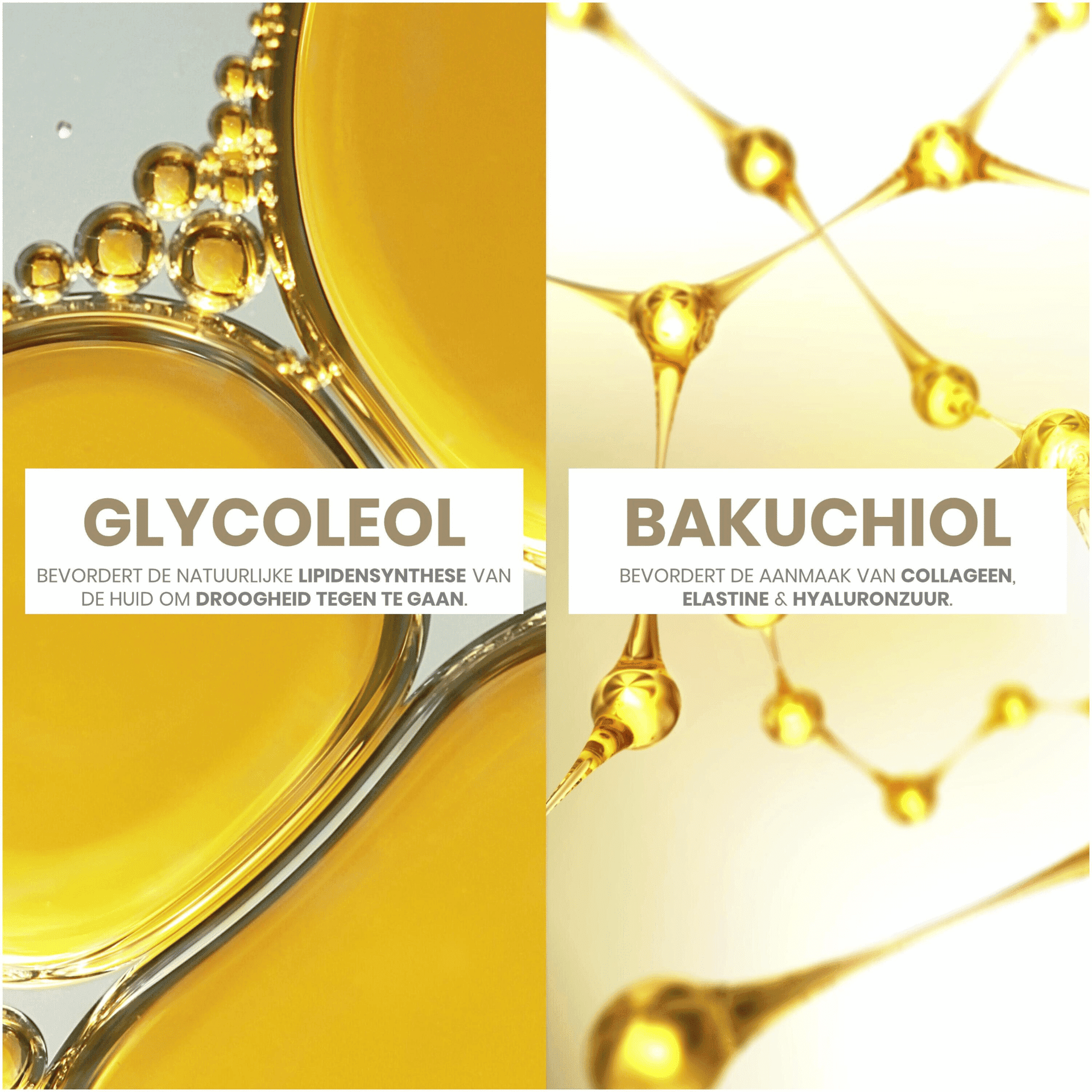 Avène DermAbsolu Soin Regard Combleur