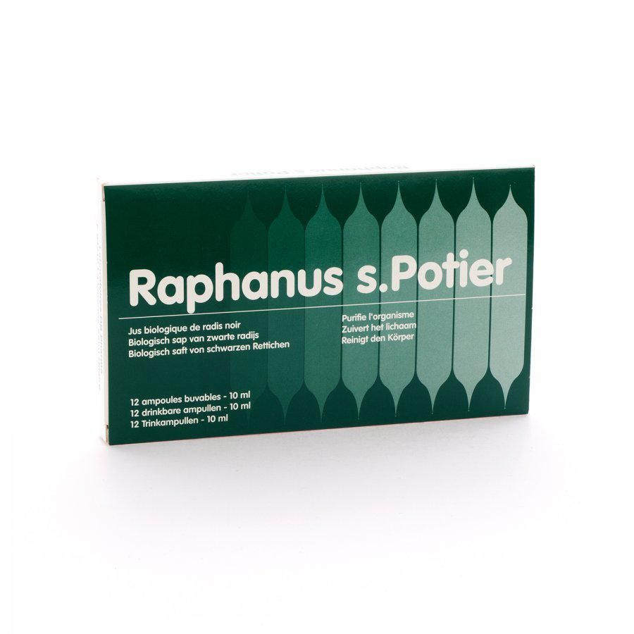 Raphanus S Potier