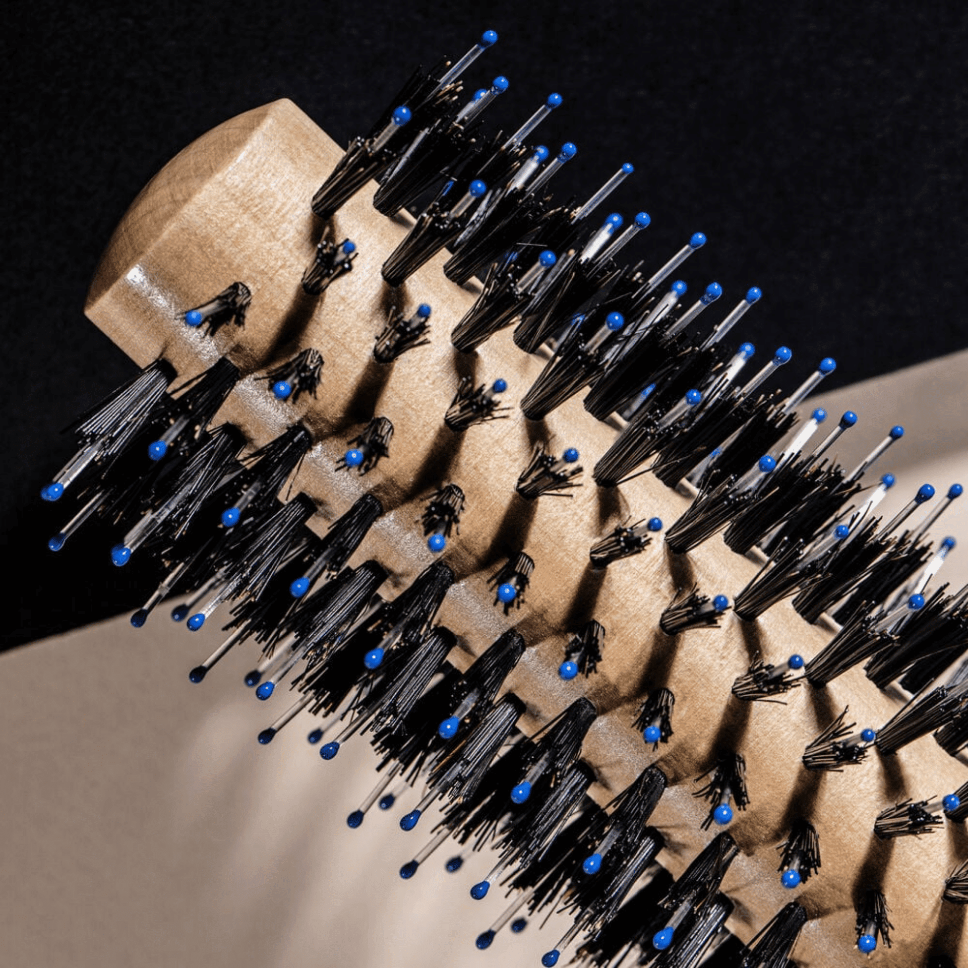 Sisley Hair La Brosse à Brushing N°1