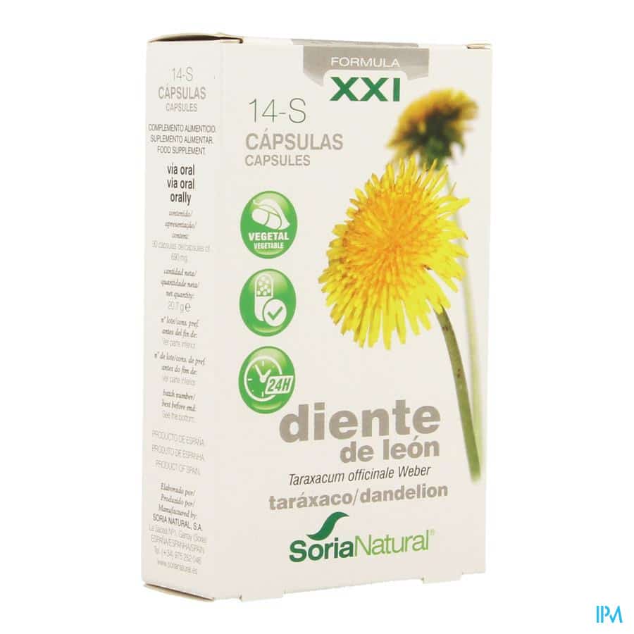 Soria 14-s Taraxacum Xxi Soria 14-s Taraxacum Xxi