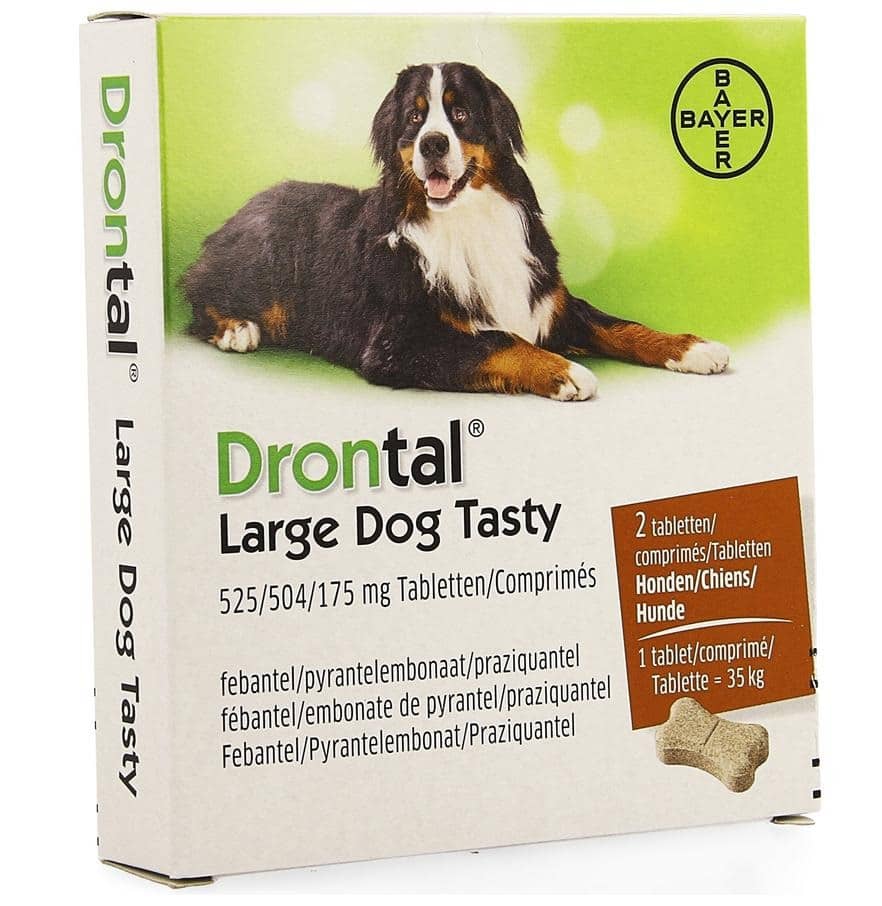 Drontal Large Dog Tasty