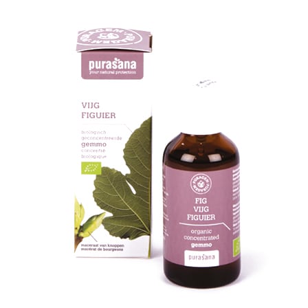 Purasana Puragem Vijg Purasana Puragem Vijg