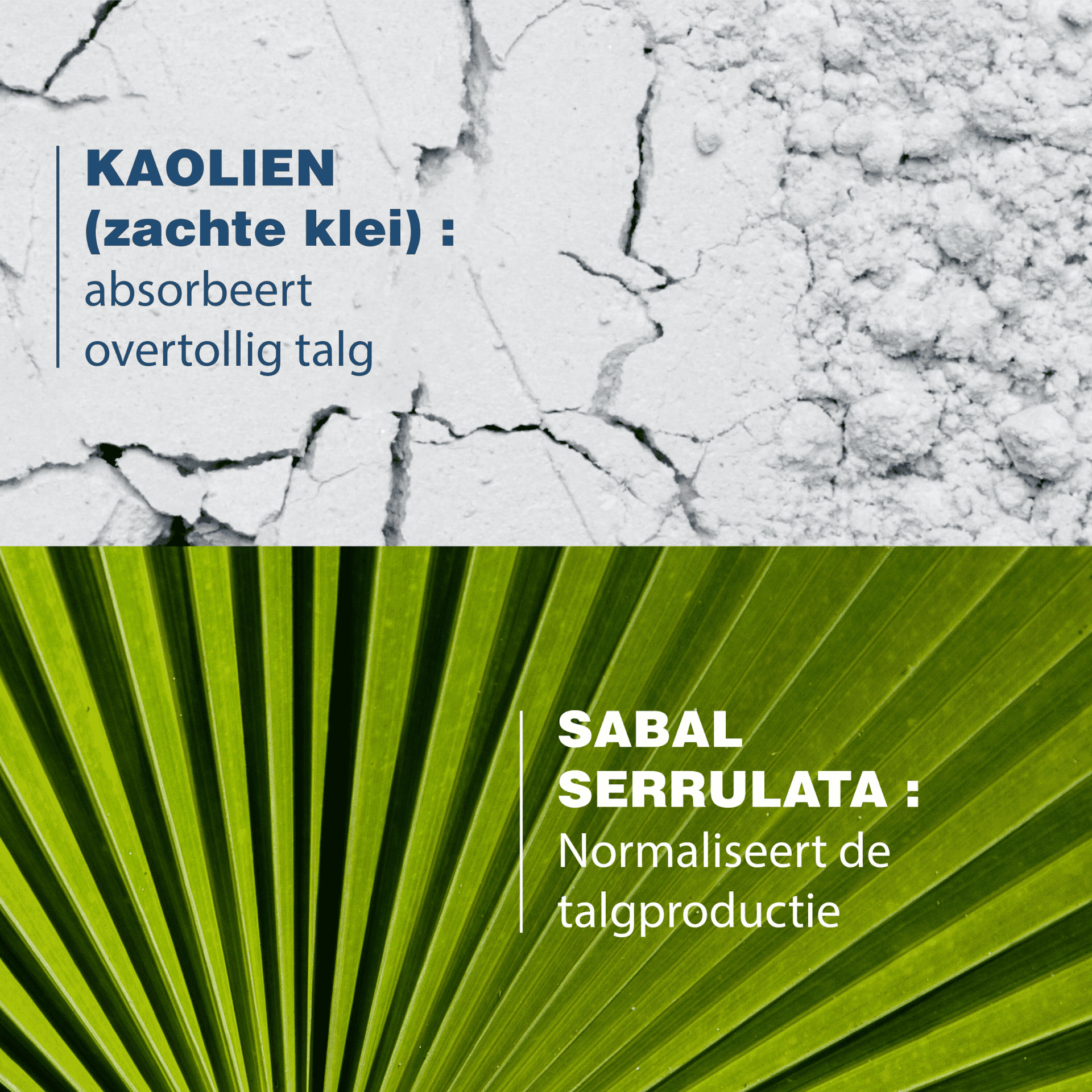 Ducray Sabal Argeal Sh Quotid Sebo-absorbant 200ml Ducray Sabal Argeal Sh Quotid Sebo-absorbant 200ml