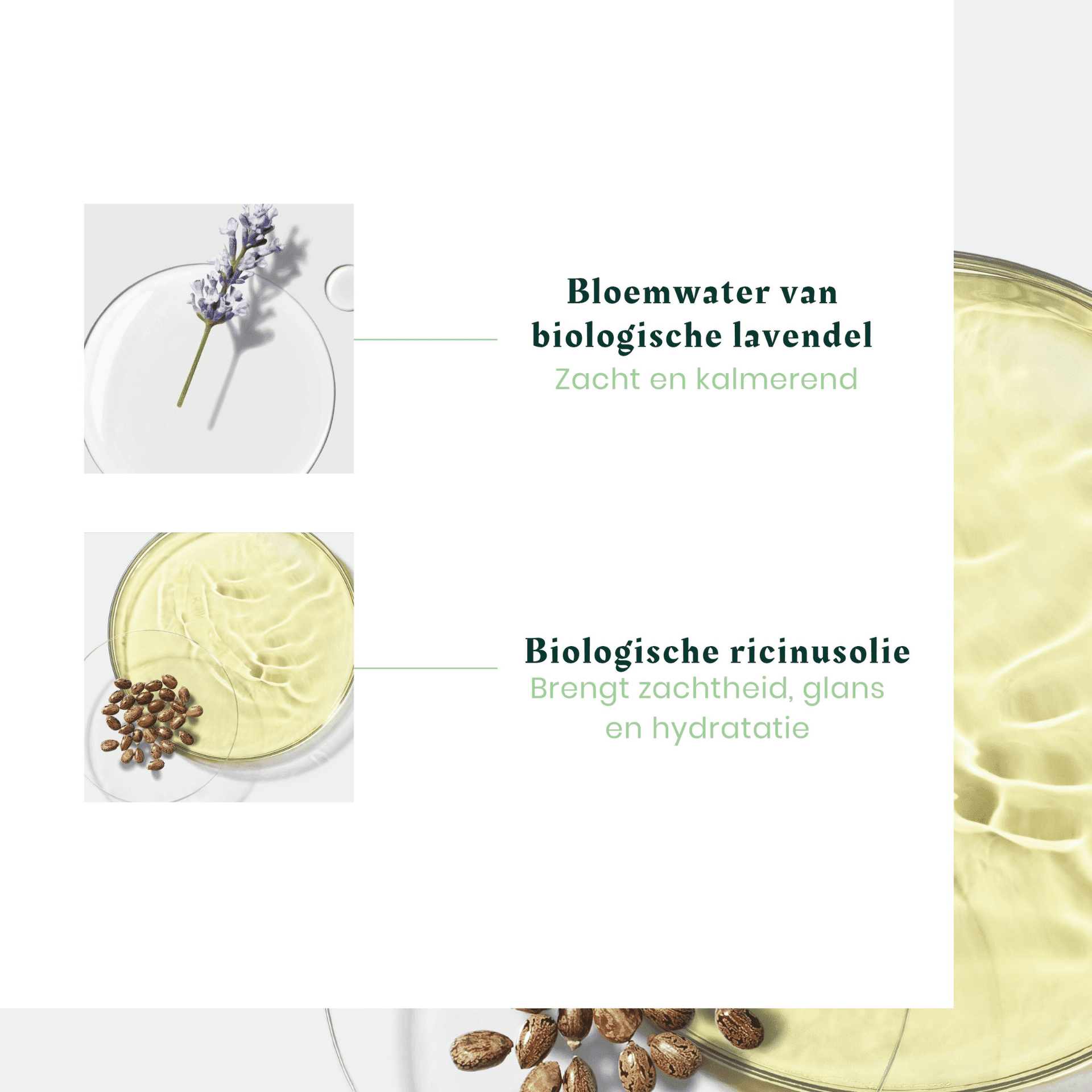 René Furterer Naturia Milde Shampoo