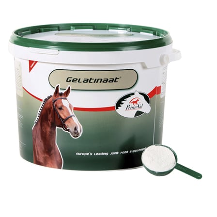 Primeval Paarden Gelatinaat Primeval Paarden Gelatinaat
