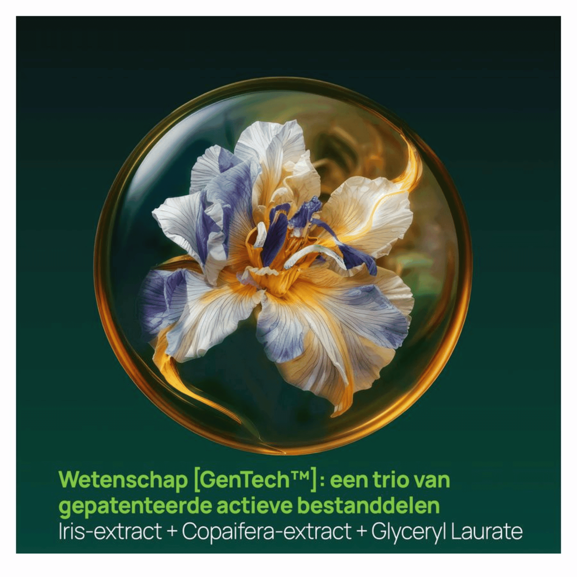 Furterer Triphasic Progres. Trait. A/chute 8x5,5ml