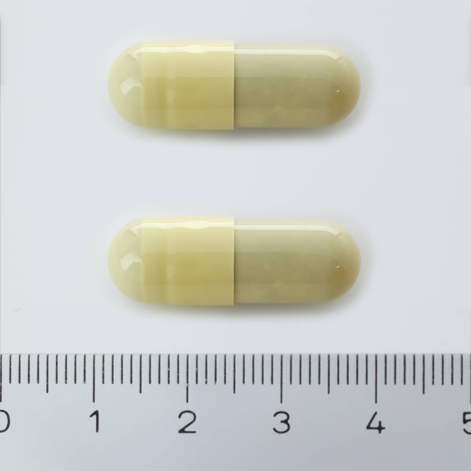 Dodoens Reviva 900 mcg Hypericine Dodoens Reviva 900 mcg Hypericine