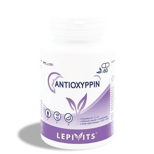 Lepivits Antioxippin Lepivits Antioxippin