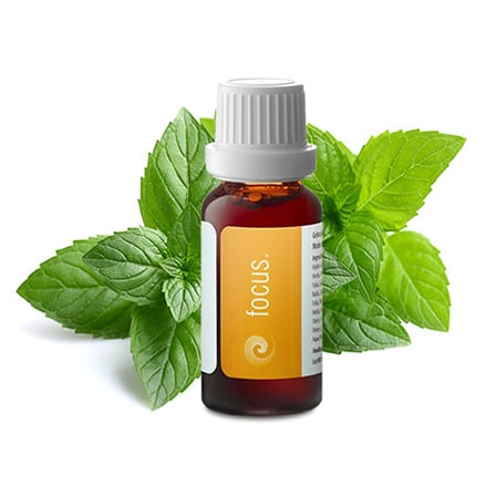 Focus Kruidendruppels Focus Kruidendruppels