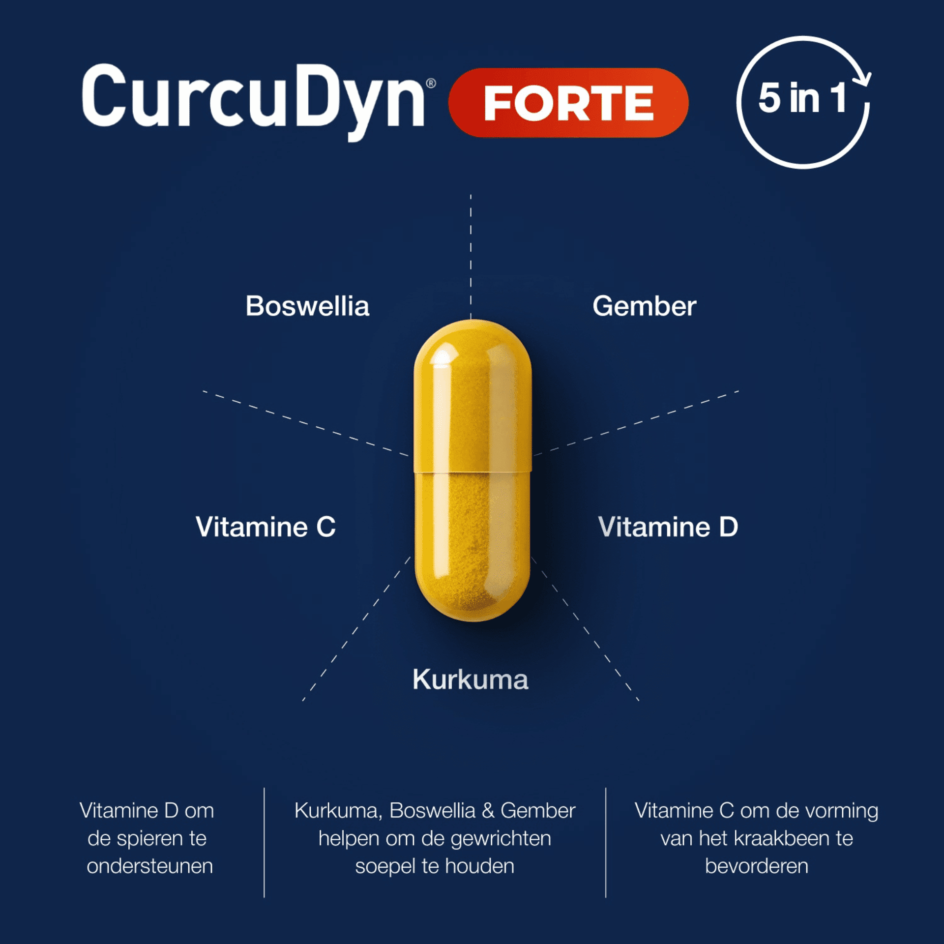 CurcuDyn Forte CurcuDyn Forte