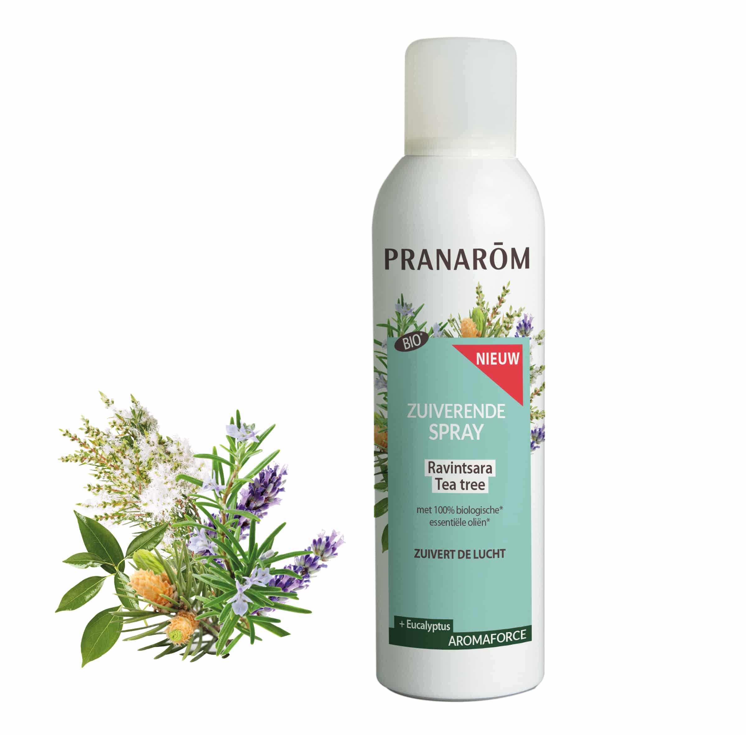 Pranarom Aromaforce Zuiverende Spray Ravintsara-Eucalyptus Pranarom Aromaforce Zuiverende Spray Ravintsara-Eucalyptus
