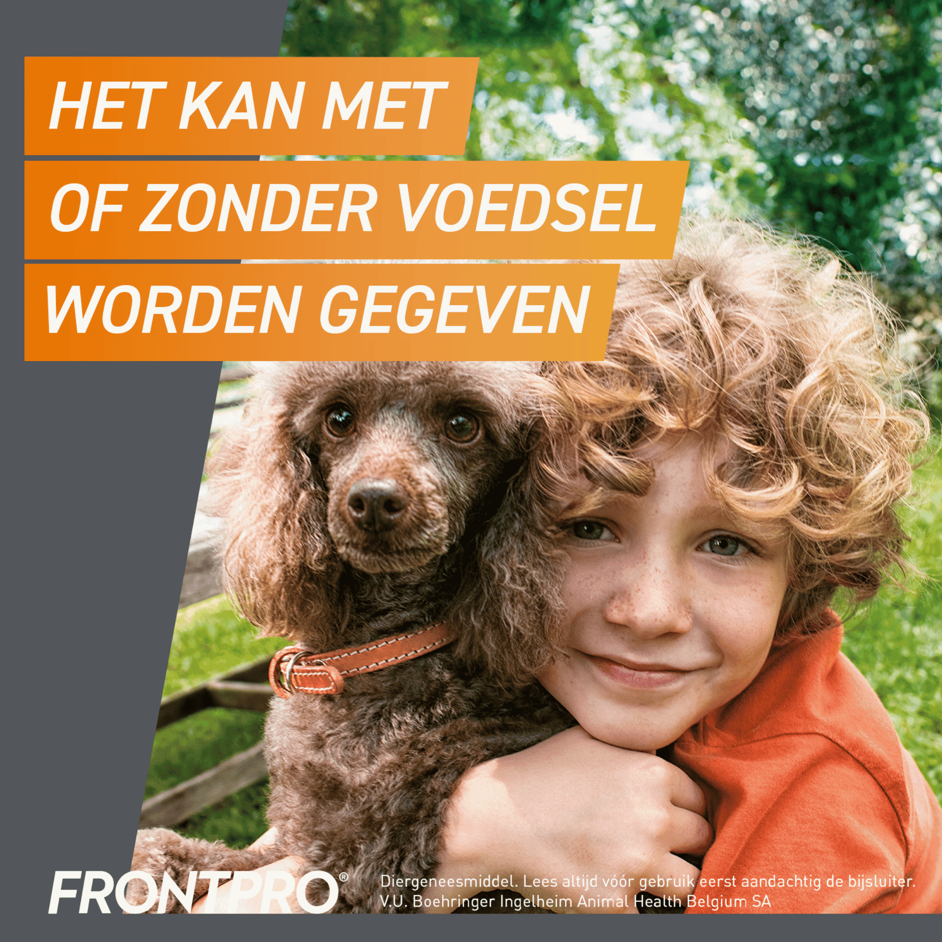 FrontPro Hond 2-4 kg