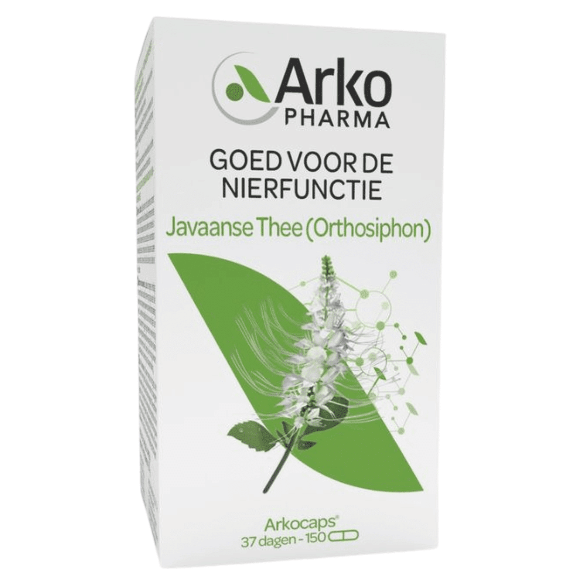 Arkocaps Orthosiphon