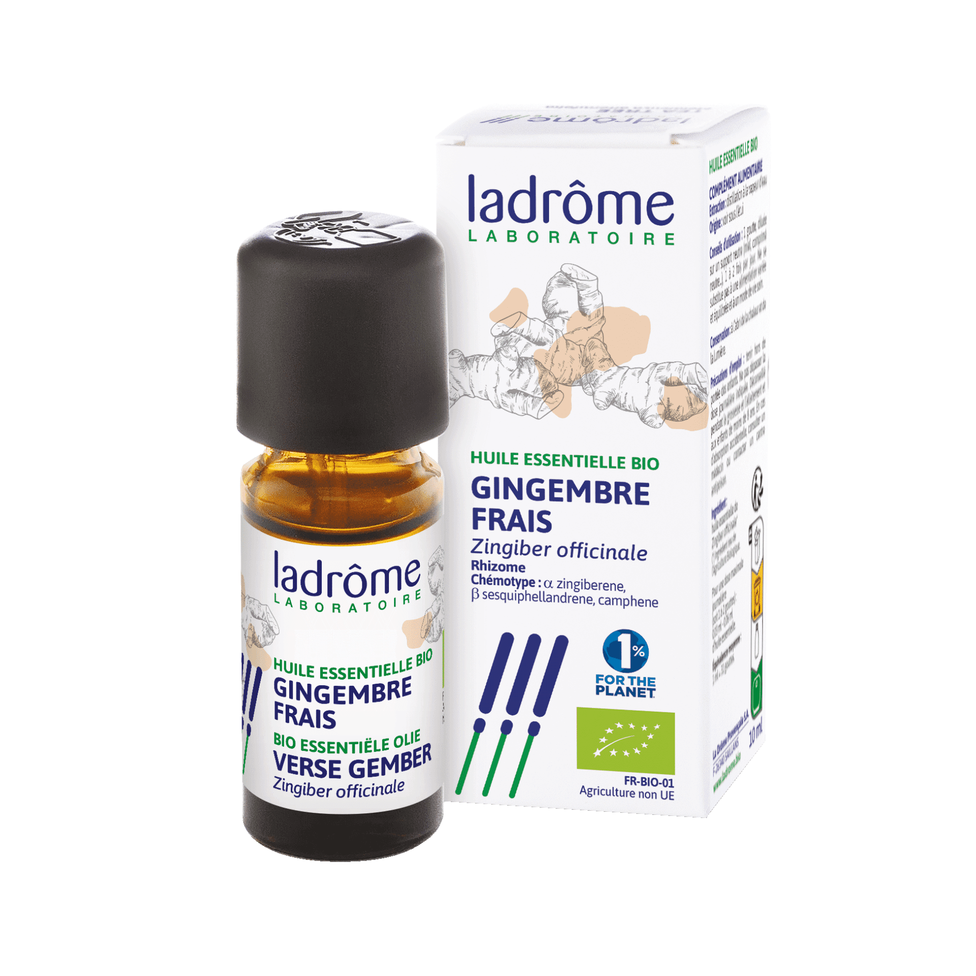 Ladrome Zingiber Officinalis/gingembre 10ml
