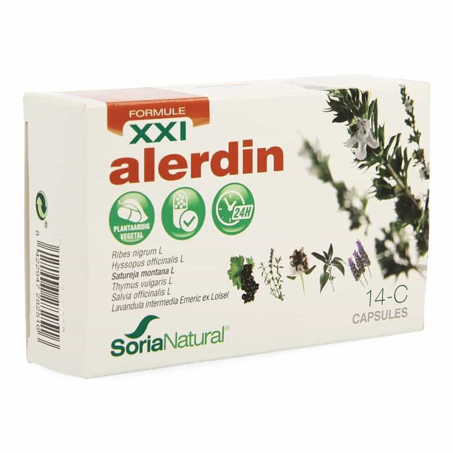 Soria 14-C Allerdin XXI Soria 14-C Allerdin XXI