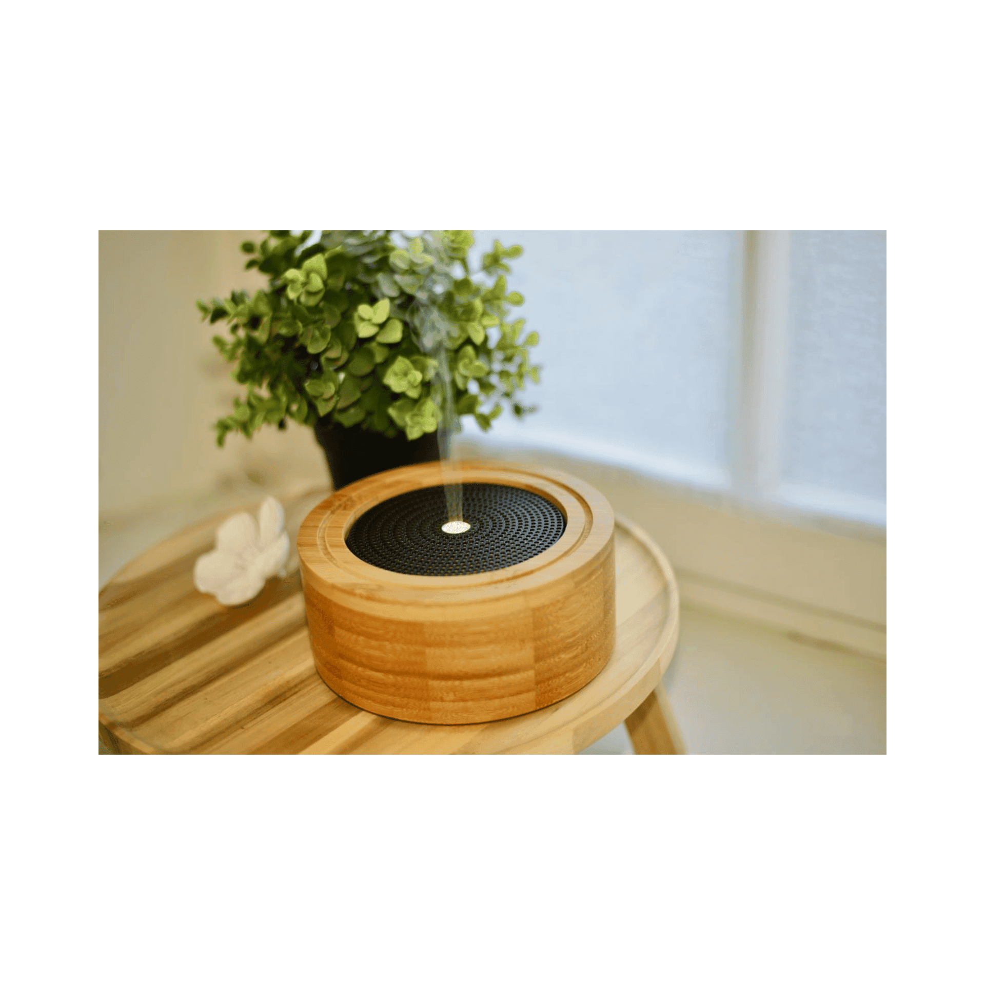 Mannavita Diffuseur Bambou Planete Mannavita Diffuseur Bambou Planete