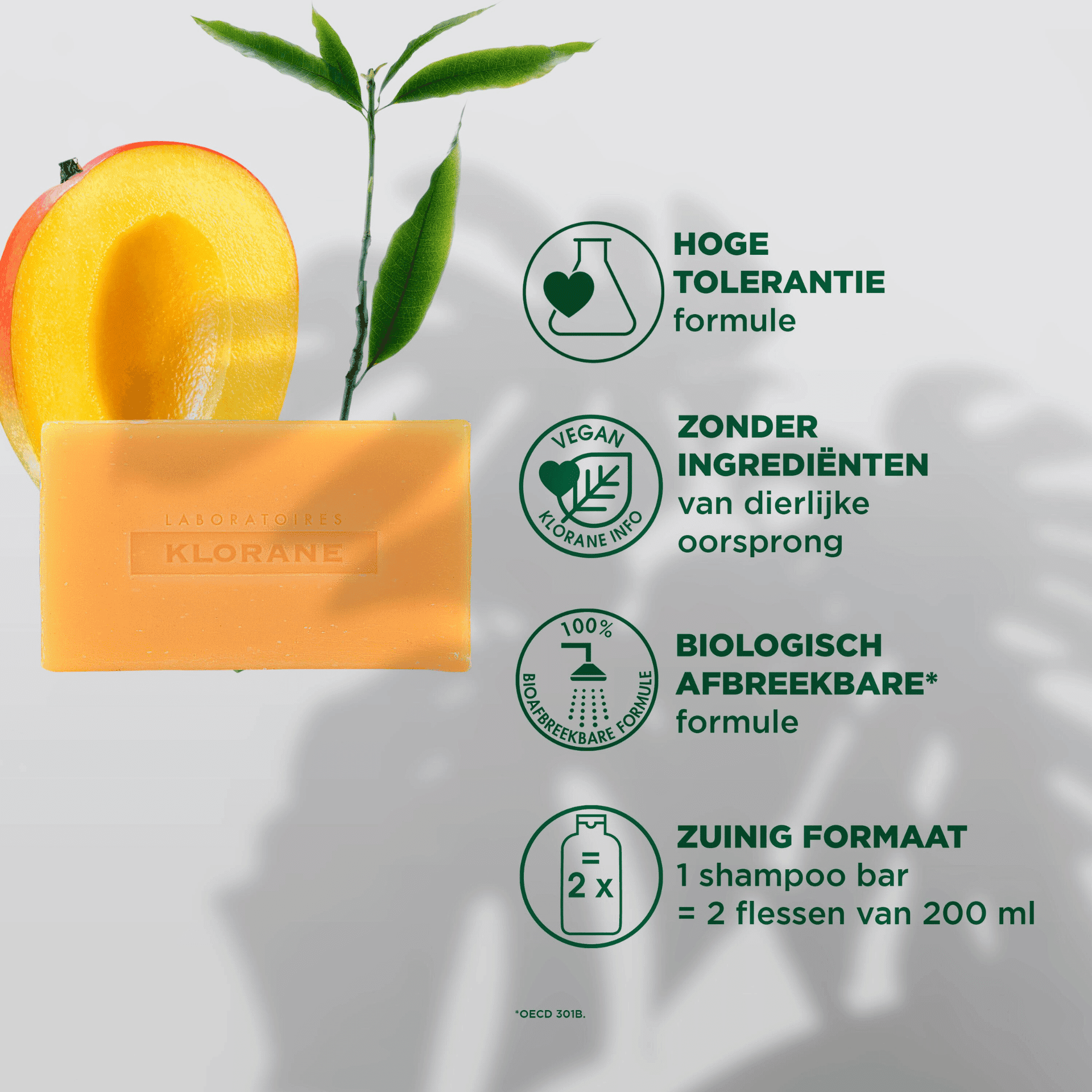 Klorane Capil. Sh Solide Mangue 80g