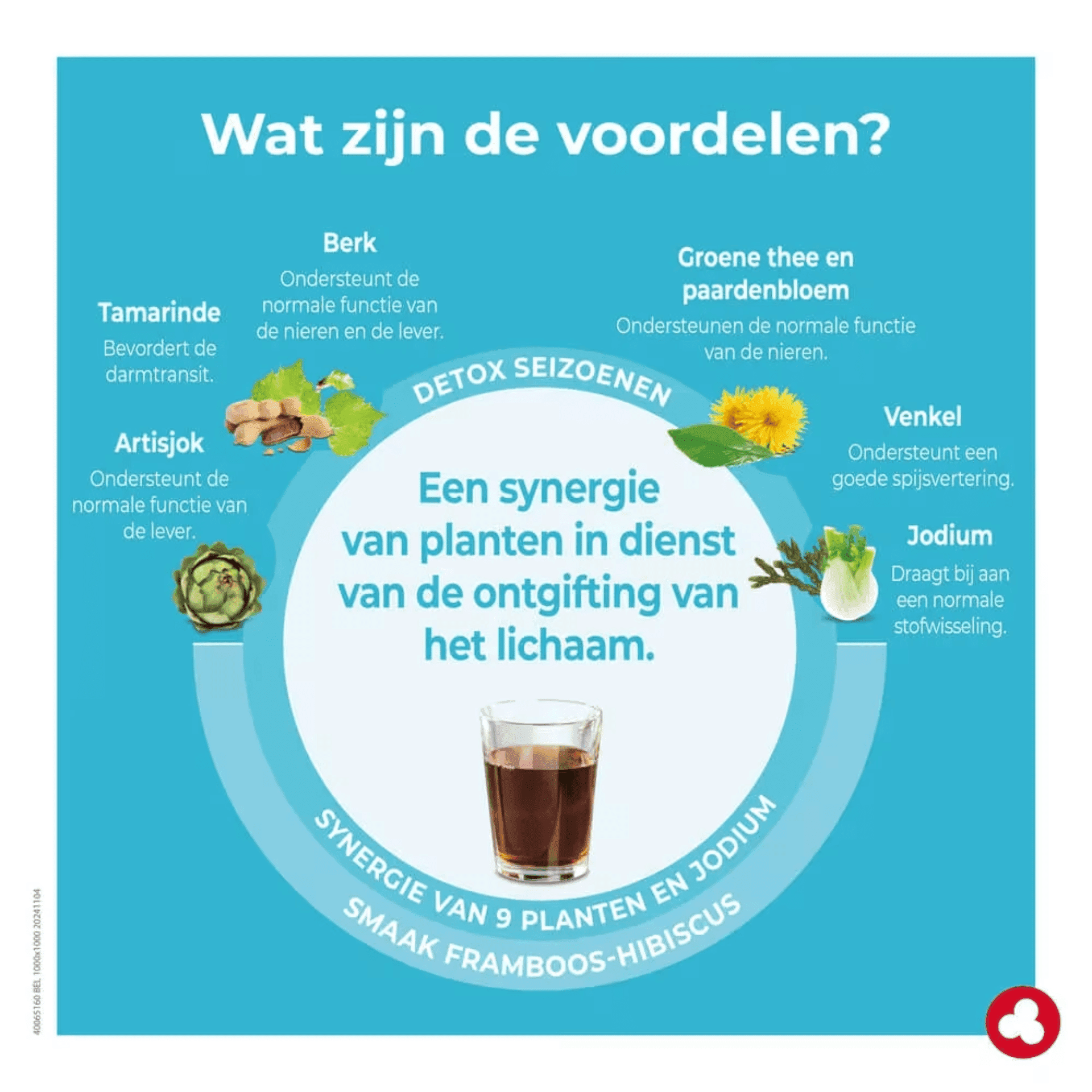 Ortis D-Toxis Essential Detox Seizoenen