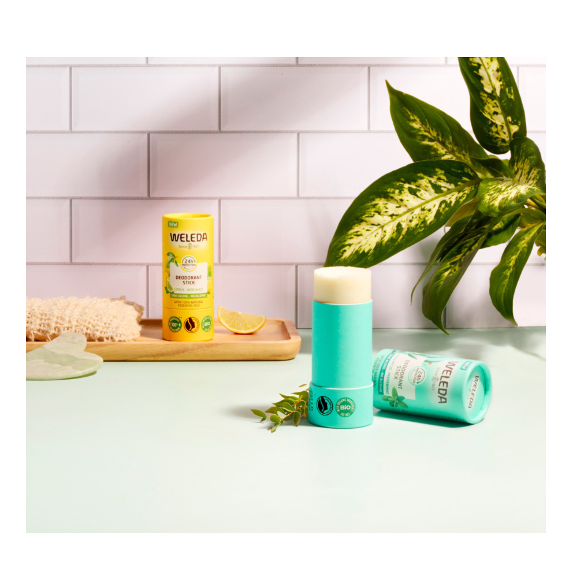 Weleda Deo Stick 24h Eucalyptus & Peppermint 50g