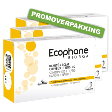Ecophane Biorga Haren & Nagels Promo*