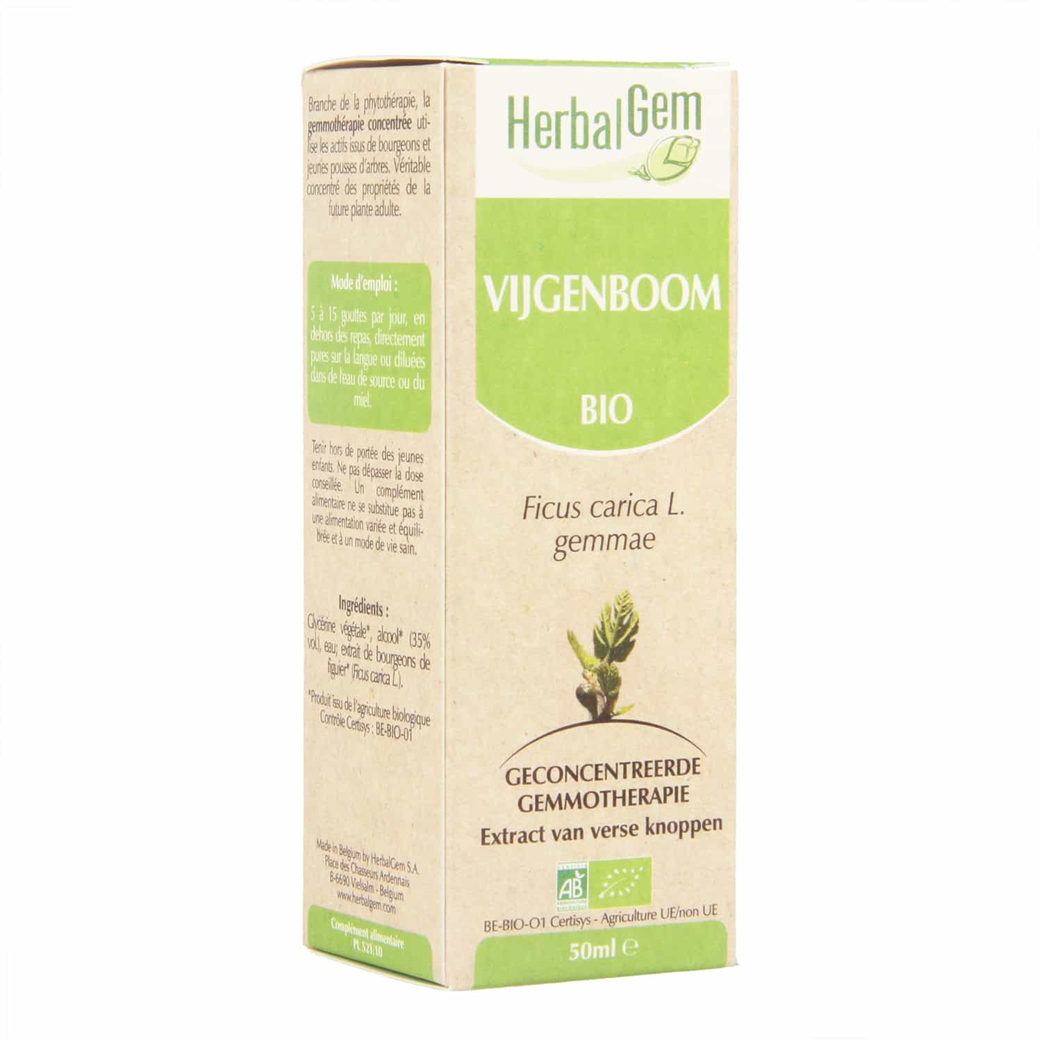 HerbalGem Vijgenboom HerbalGem Vijgenboom