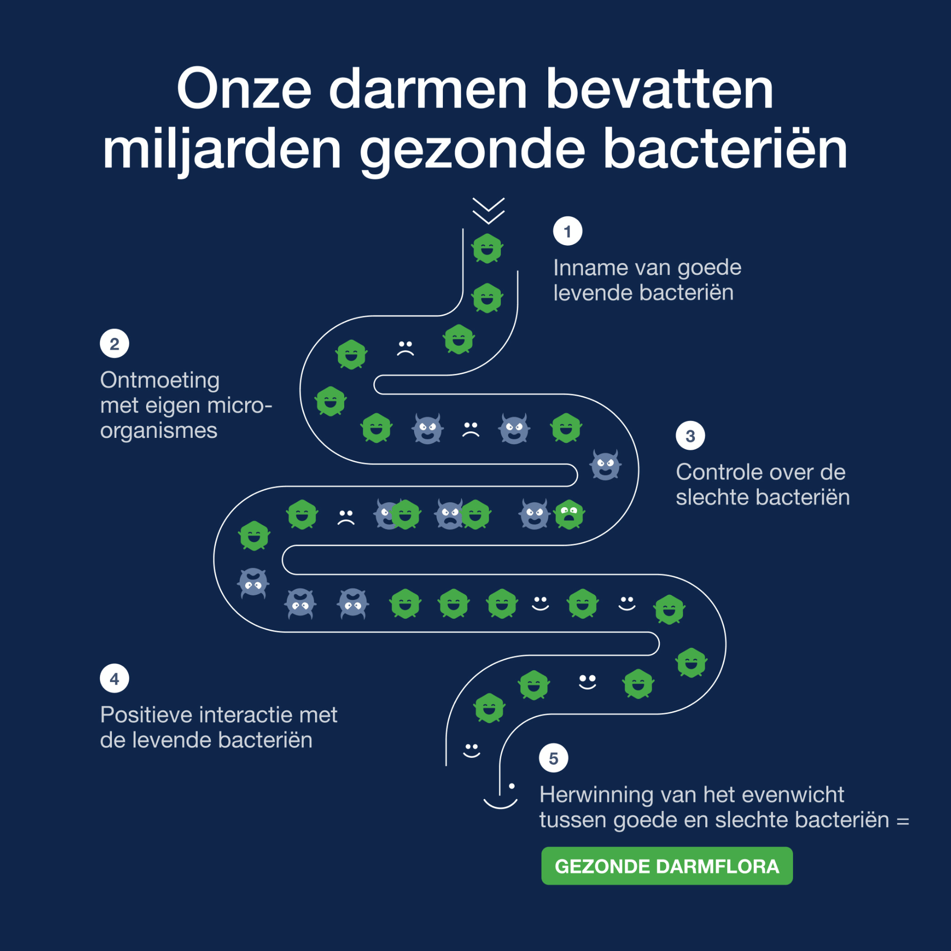 Bactiol Easy Caps 60 Metagenics Bactiol Easy Caps 60 Metagenics