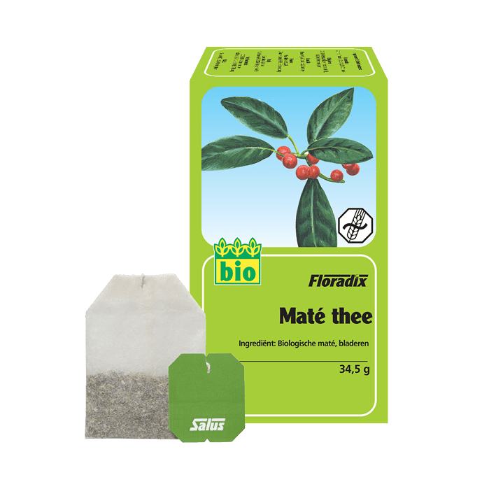 Salus Maté Thee Bio