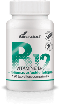 Soria Vitamine B12+acide Folique 250mg Comp 120 Soria Vitamine B12+acide Folique 250mg Comp 120