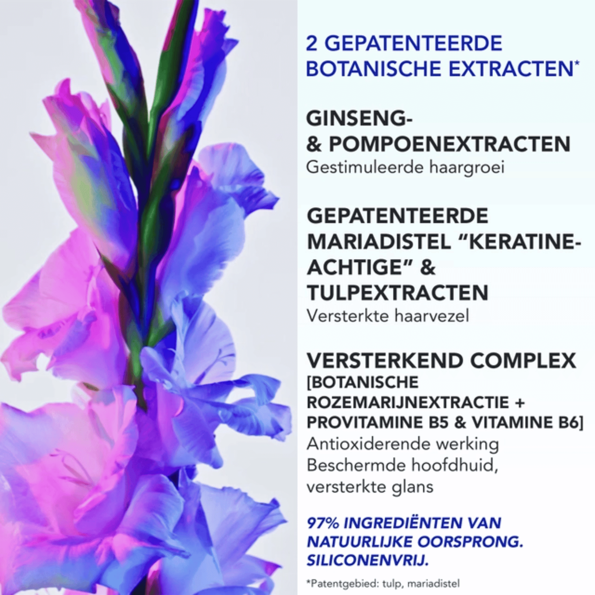 Phytophanère Ultra Serum