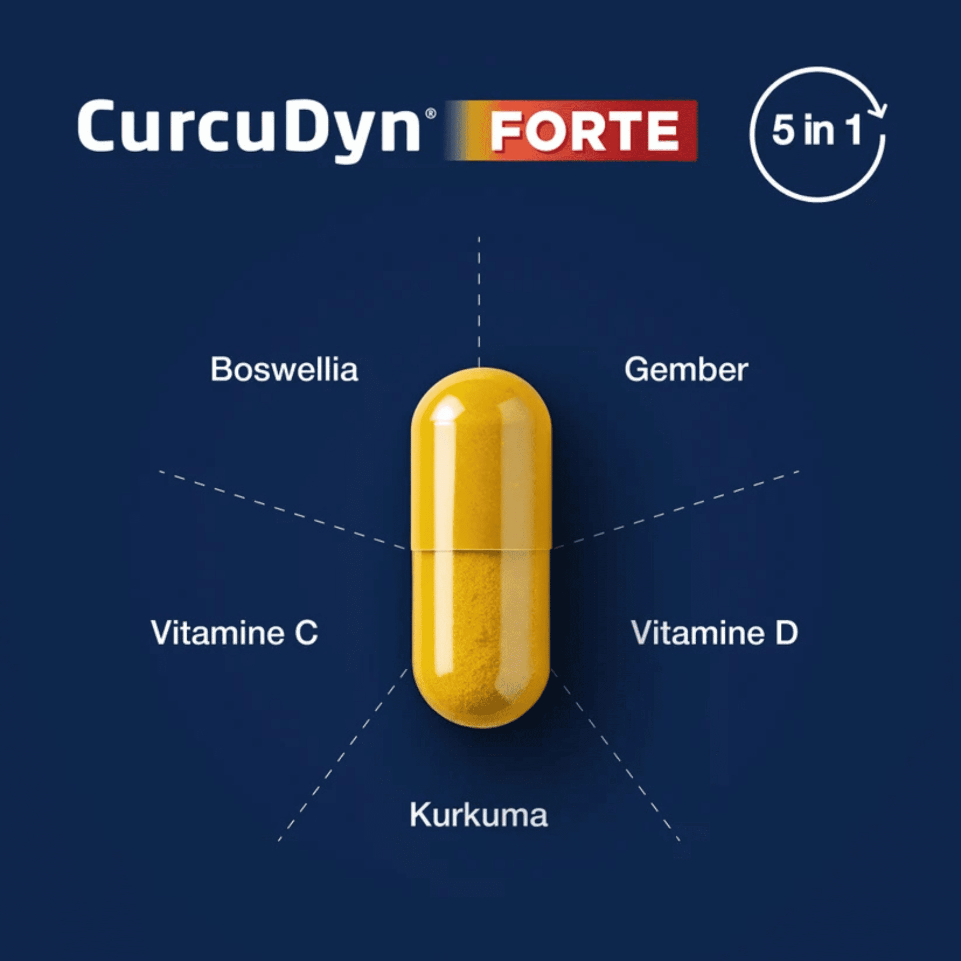 CurcuDyn Forte CurcuDyn Forte